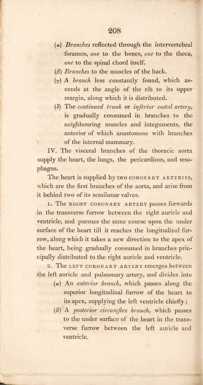 (a) Branches reflected through the intervertebral foramen, one to the bones, one to the theca, one to the spinal chord itself. (|9) Branches to the muscles of the back. (y) A branch less constantly found, which as¬ cends at the angle of the rib to its upper margin, along which it is distributed. (^) The continued trunk or inferior costal artery, is gradually consumed in branches to the neighbouring muscles and integuments, the anterior of which anastomose with branches \ of the internal mammary. IV. The visceral branches of the thoracic aorta supply the heart, the lungs, the pericardium, and oeso¬ phagus. The heart is supplied by two coronary arteries, which are the first branches of the aorta, and arise from it behind two of its semilunar valves. 1. The right coronary artery passes forwards in the transverse furrow between the right auricle and ventricle, and pursues the same course upon the under surface of the heart till it reaches the longitudinal fur¬ row, along which it takes a new direction to the apex of the heart, being gradually consumed in branches prin¬ cipally distributed to the right auricle and ventricle. 2. The left coronary artery emerges between the left auricle and pulmonary artery, and divides into (a) An anterior branch, which passes along the superior longitudinal furrow of the heart to its apex, supplying the left ventricle chiefly; (0) A posterior circumflex branch, which passes to the under surface of the heart in the trans¬ verse furrow between the left auricle and ventricle.