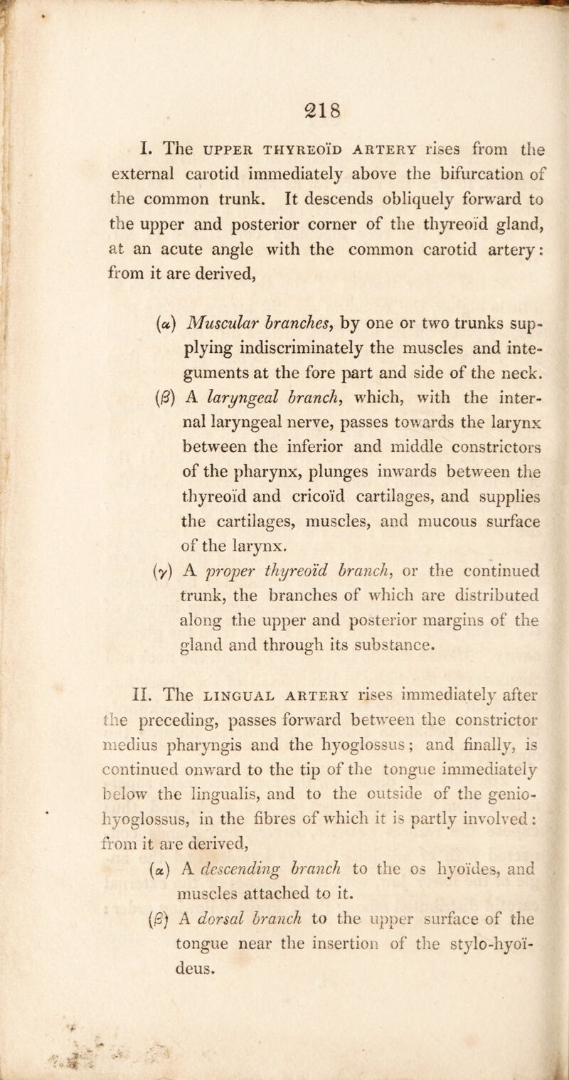 I. The upper thyreoid artery rises from the external carotid immediately above the bifurcation of the common trunk. It descends obliquely forward to the upper and posterior corner of the thyreoid gland, at an acute angle with the common carotid artery: from it are derived, (u) Muscular branches, by one or two trunks sup¬ plying indiscriminately the muscles and inte¬ guments at the fore part and side of the neck. (0) A laryngeal branch, which, with the inter¬ nal laryngeal nerve, passes towards the larynx between the inferior and middle constrictors of the pharynx, plunges inwards between the thyreoid and cricoid cartilages, and supplies the cartilages, muscles, and mucous surface of the larynx. (y) A proper thyreoid branch, or the continued trunk, the branches of which are distributed along the upper and posterior margins of the gland and through its substance. II. The lingual artery rises immediately after the preceding, passes forward between the constrictor medius pharyngis and the hyoglossus; and finally, is continued onward to the tip of the tongue immediately below the lingualis, and to the outside of the genio- hyoglossus, in the fibres of which it is partly involved: from it are derived, (a) A descending branch to the os liyoides, and muscles attached to it. (/S) A dorsal branch to the upper surface of the tongue near the insertion of the stylo-hyoi*- deus.