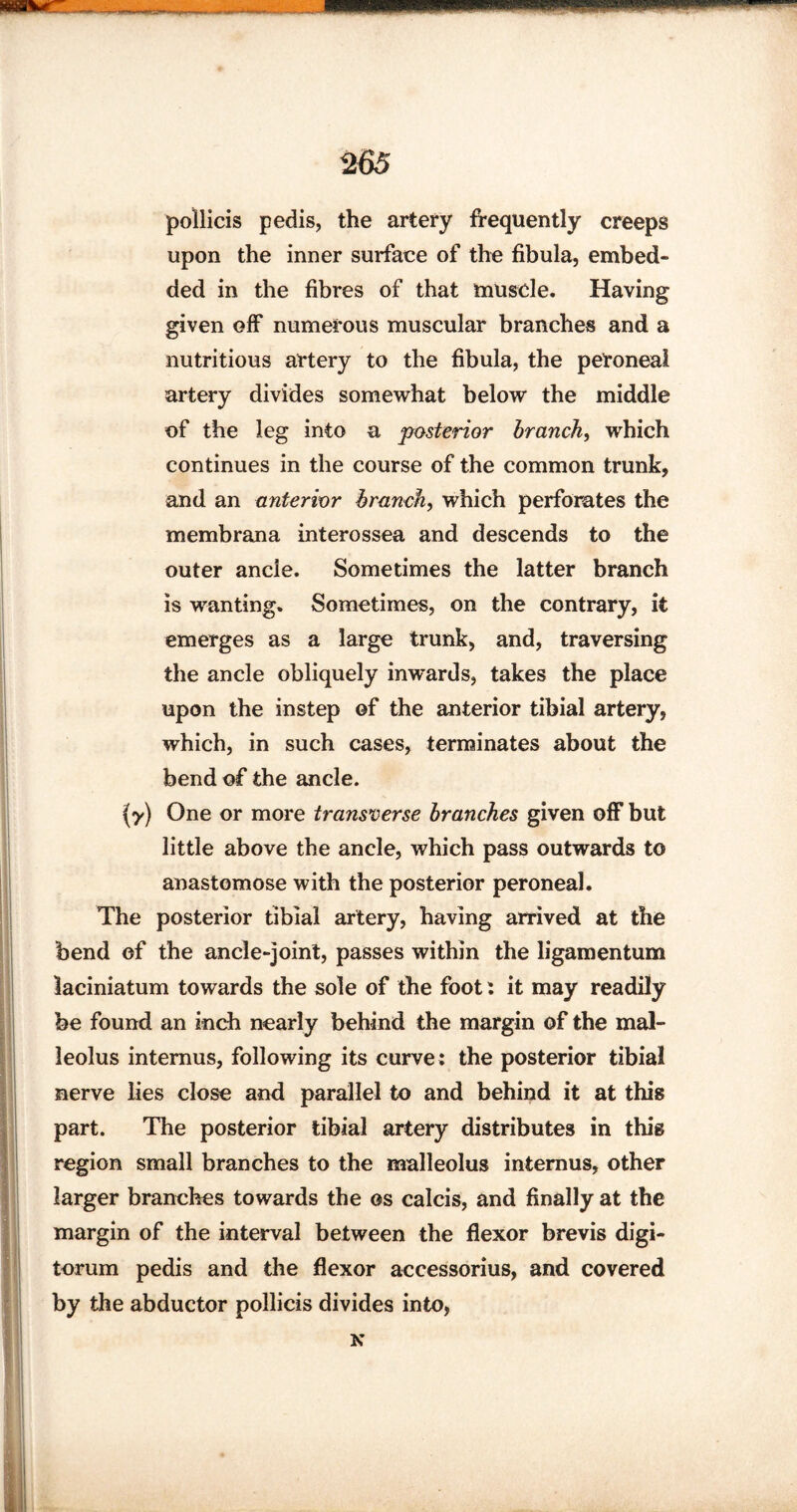 pollicis pedis, the artery frequently creeps upon the inner surface of the fibula, embed¬ ded in the fibres of that muscle. Having given off numerous muscular branches and a nutritious artery to the fibula, the peroneal artery divides somewhat below the middle of the leg into a posterior branch, which continues in the course of the common trunk, and an anterior branch, which perforates the membrana interossea and descends to the outer ancle. Sometimes the latter branch is wanting. Sometimes, on the contrary, it emerges as a large trunk, and, traversing the ancle obliquely inwards, takes the place upon the instep of the anterior tibial artery, which, in such cases, terminates about the bend of the ancle. One or more transverse branches given off but little above the ancle, which pass outwards to anastomose with the posterior peroneal. The posterior tibial artery, having arrived at the bend of the ancle-joint, passes within the ligamentum laciniatum towards the sole of the foot: it may readily be found an inch nearly behind the margin of the mal¬ leolus intemus, following its curve; the posterior tibial nerve lies close and parallel to and behind it at this part. The posterior tibial artery distributes in this region small branches to the malleolus intemus, other larger branches towards the os calcis, and finally at the margin of the interval between the flexor brevis digi- torum pedis and the flexor accessorius, and covered by the abductor pollicis divides into, K