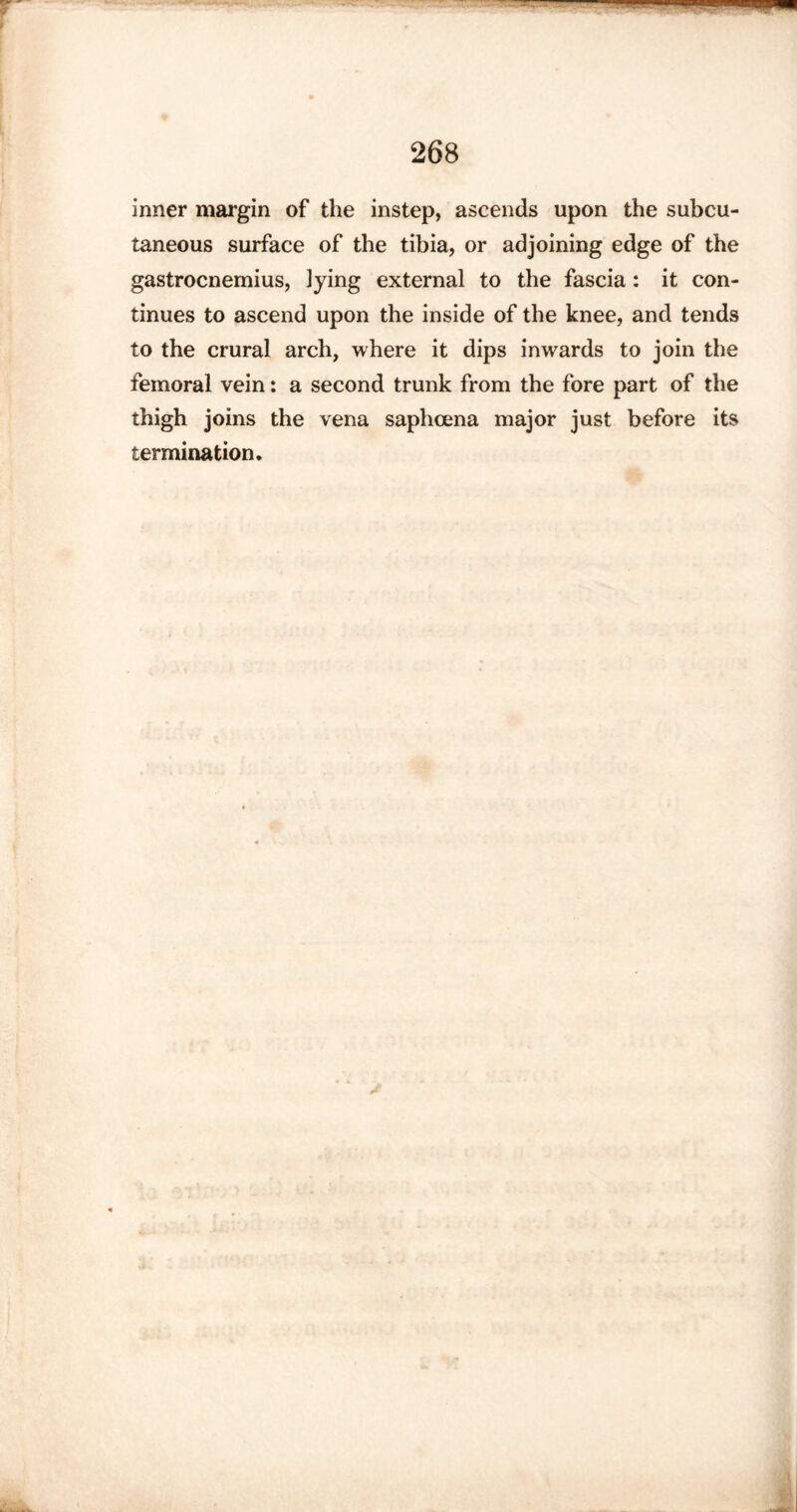 inner margin of the instep, ascends upon the subcu¬ taneous surface of the tibia, or adjoining edge of the gastrocnemius, lying external to the fascia: it con¬ tinues to ascend upon the inside of the knee, and tends to the crural arch, where it dips inwards to join the femoral vein: a second trunk from the fore part of the thigh joins the vena saphcena major just before its termination.