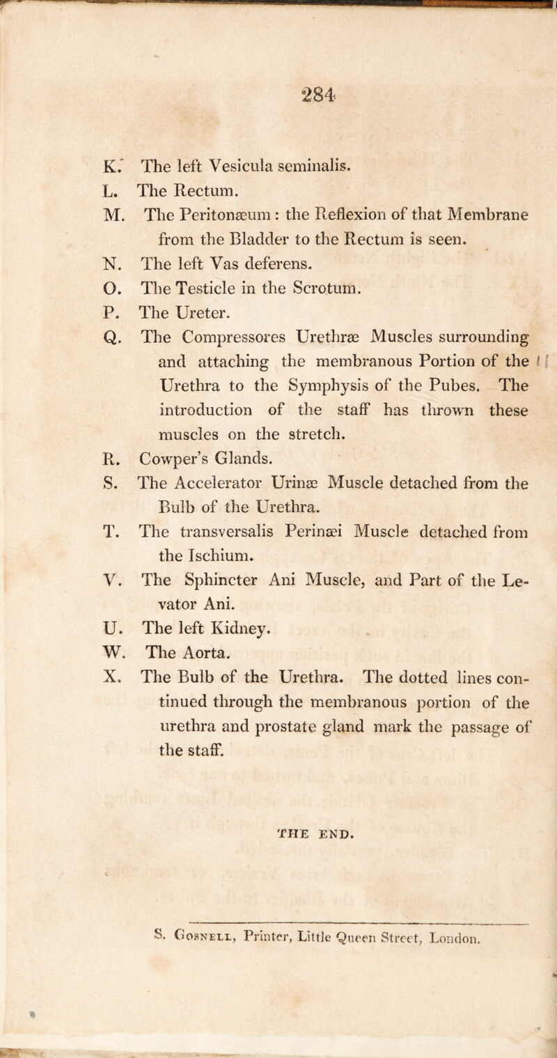 K. The left Vesicula seminalis. L. The Rectum. M. The Peritonaeum : the Reflexion of that Membrane from the Bladder to the Rectum is seen. N. The left Vas deferens. O. The Testicle in the Scrotum. P. The Ureter. Q. The Compressores Urethrae Muscles surrounding and attaching the membranous Portion of the I Urethra to the Symphysis of the Pubes. The introduction of the staff has thrown these muscles on the stretch. R. Cowper’s Glands. S. The Accelerator Urinae Muscle detached from the Bulb of the Urethra. T. The transversalis Perinaei Muscle detached from the Ischium. V. The Sphincter Ani Muscle, and Part of the Le¬ vator Ani. U. The left Kidney. W. The Aorta. X. The Bulb of the Urethra. The dotted lines con¬ tinued through the membranous portion of the urethra and prostate gland mark the passage of the staff. THE END. s. Gosnell, Printer, Little Queen Street, London.