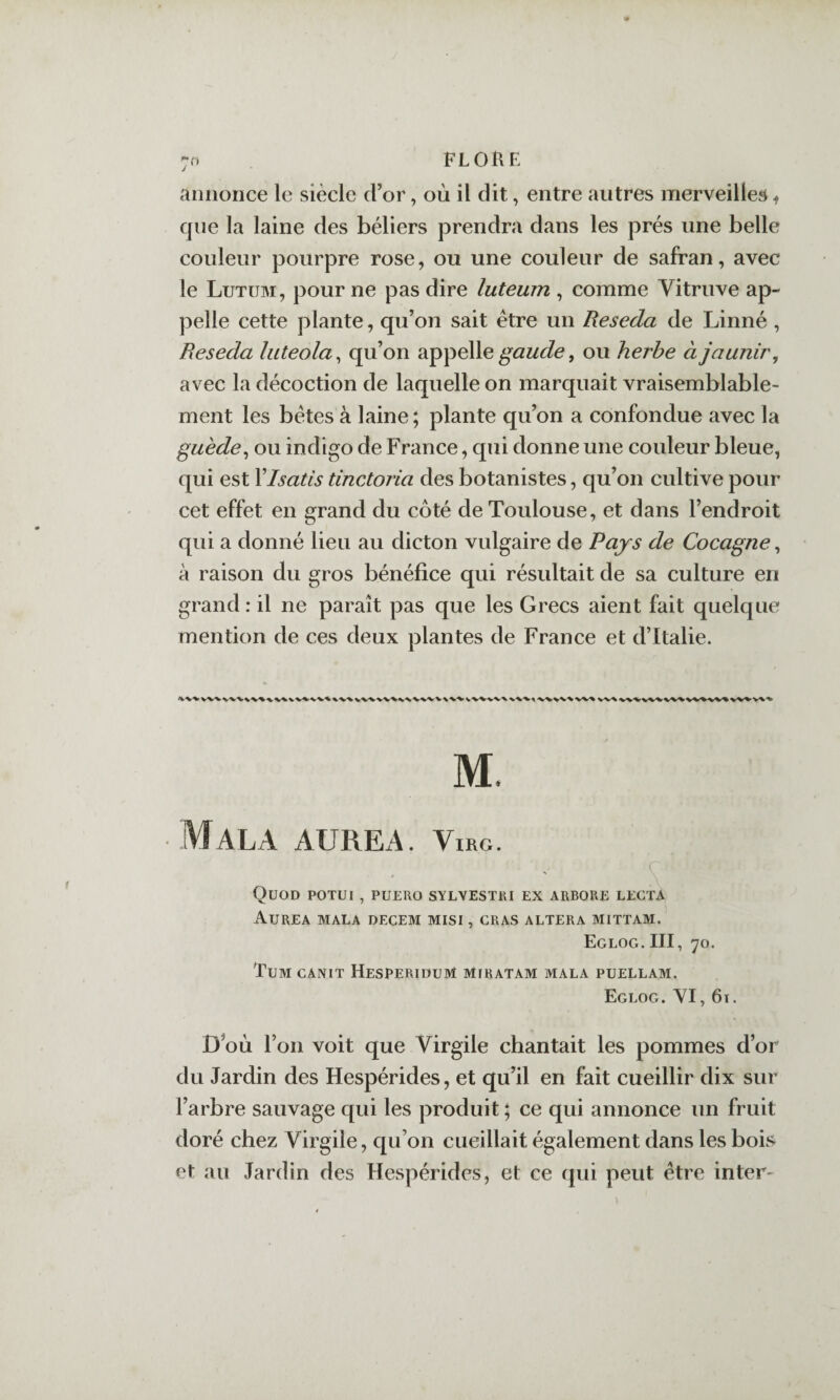 annonce le siècle d’or, où il dit, entre autres merveilles ^ que la laine des béliers prendra dans les prés une belle couleur pourpre rose, ou une couleur de safran, avec le Lutüm, pour ne pas dire luteum , comme Vitruve ap¬ pelle cette plante, qu’on sait être un Réséda de Linné , Réséda liiteola^ qu’on appelle , ou herbe à jaunir, avec la décoction de laquelle on marquait vraisemblable¬ ment les bêtes à laine; plante qu’on a confondue avec la guède, ou indigo de France, qui donne une couleur bleue, qui est Y Isatis tinctoria des botanistes, qu’on cultive pour cet effet en grand du côté de Toulouse, et dans l’endroit qui a donné lieu au dicton vulgaire de Pays de Cocagne, à raison du gros bénéfice qui résultait de sa culture en grand : il ne paraît pas que les Grecs aient fait quelque mention de ces deux plantes de France et d’Italie. M. Mal A AUREA. ViRG. \ QuOD POTUI , PUERO SYLVESTRI EX ARBORE LECTA AuREA MALA DECEM MISI , GRAS ALTERA MITTAM. Eglog. III, 70. TuM CANIT HeSPERIDUM MFRATAM MALA PUELLAM. Eglog. YI, 6t. D où l’on voit que Virgile chantait les pommes d’or du Jardin des Hespérides, et qu’il en fait cueillir dix sur l’arbre sauvage qui les produit ; ce qui annonce un fruit doré chez Virgile, qu’on cueillait également dans les bois- et au Jardin des Hespérides, et ce qui peut être inter-