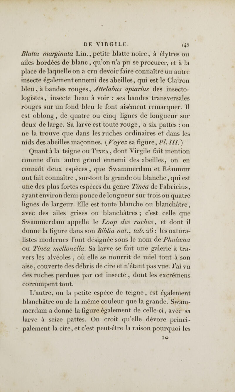 Blatta marginata Lin., petite blatte noire, à élytres on ailes bordées de blanc, qu’on n’a pu se procurer, et à la place de laquelle on a cru devoir faire connaître un autre insecte également ennemi des abeilles, qui est le Clairon bleu, à bandes rouges, Attelahus apiarius des insecto- logistes, insecte beau à voir : ses bandes transversales rouges sur un fond bleu le font aisément remarquer. Il est oblong, de quatre ou cinq lignes de longueur sur deux de large. Sa larve est toute rouge, a six pattes : on ne la trouve que dans les ruches ordinaires et dans les nids des abeilles maçonnes. ( Voyez sa figure, PL 111. ) Quant à la teigne ou Tinea, dont Virgile fait mention comme d’un autre grand ennemi des abeilles, on en connaît deux espèces, que Swammerdam et Réaumur ont fait connaître , sur-tout la grande ou blanche, qui est une des plus fortes espèces du genre Tinea de Fabricius, ayant environ demi-pouce de longueur sur trois ou quatre lignes de largeur. Elle est toute blanche ou blanchâtre, avec des ailes grises ou blanchâtres ; c’est celle que Swammerdam appelle le Loup des ruches, et dont il donne la figure dans son Biblia nat..^ tah. 26 : les natura¬ listes modernes l’ont désignée sous le nom de Phalœna ou Tinea rnellonella. Sa larve se fait une afalerie à tra- O vers les alvéoles , où elle se nourrit de miel tout à son aise, couverte des débris de cire et n’étant pas vue. J’ai vu des ruches perdues par cet insecte , dont les excrémens corrompent tout. L’autre, ou la petite espèce de teigne, est également blanchâtre ou de la meme couleur que la grande. Swam¬ merdam a donné la figure également de celle-ci, avec sa larve à seize pattes. On croit qu’elle dévore princi- ' paiement la cire, et c’est peut-être la raison pourquoi les