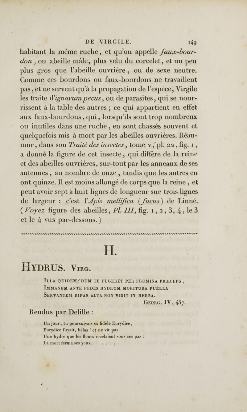 habitant la même ruche, et qu’on appelle faux^bour- don J ou abeille mâle, plus velu du corcelet, et un peu plus gros que l’abeille ouvrière , ou de sexe neutre. Comme ces bourdons ou faux-bourdons ne travaillent pas, et ne servent qu’à la propagation de l’espèce, Virgile les traite à'ignavum pecus, ou de parasites, qui se nour¬ rissent à la table des autres ; ce qui appartient en effet aux faux-bourdons, qui, lorsqu’ils sont trop nombreux ou inutiles dans une ruche, en sont chassés souvent et quelquefois mis à mort par les abeilles ouvrières. Réau- mur, dans son Traité des insectes, tome v,'pl. 2.2, fig. i , a donné la figure de cet insecte, qui diffère de la reine et des abeilles ouvrières, sur-tout par les anneaux de ses antennes , au nombre de onze , tandis que les autres en ont quinze. Il est moins allongé de corps que la reine , et peut avoir sept à huit lignes de longueur sur trois lignes de largeur : c’est V^pis mellifica (^/iicus) de Linné. ( Voyez figure des abeilles, PL III, fig. i, 2,3, , le 3 et le 4 vus par-dessous. ) H. HyDRUS. Vihg. Illa quidem/dum te fugeret per flumina præceps , ImMANEM ante PEDES HYDRUM MORITURA PUELLA Servantem ripas alta non vidit in herba. Georg. IV, 457. Rendus par Delille : Un jour, tu poursuivais sa fidèle Eurydice, Eurydice fuyait, hélas ! et ne vit pas Une hydre que les fleurs recelaient sous scs pas : La mort ferma ses yeux.