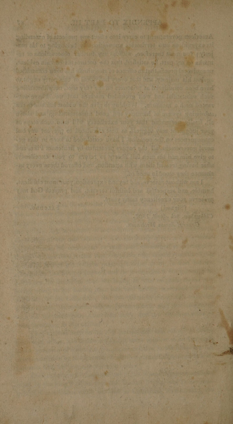 - 1) ; pis ae oe ality we of ONG ibe ‘ ra repay ; “eS ; Ratha ‘EF he Be ett 4 seenlinon ¥iloy of ii ad 