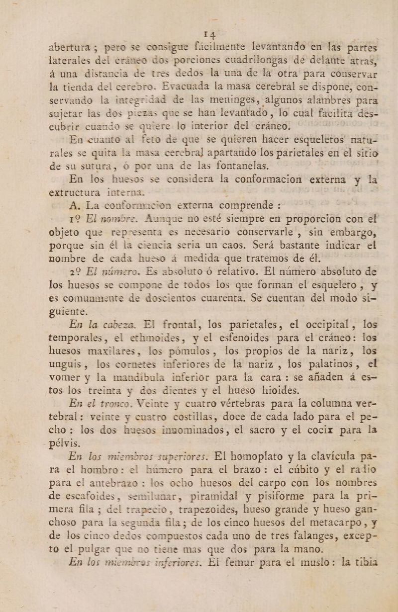 >. abertura ; pero se consigue fácilmente levantando en las partes laterales del cráneo dos porciones cuadrilongas de delante atras, á una distancia 0 tres dedos la una de la otra para conservar la tienda del cerebro. Evacuada la masa cerebral se dispone, con- servando la integridad de las meninges, algunos alambres para sujetar las dos piezas que se han levantado , lo cual facilita des- cubrir cuando se quiere lo interior del E En cuanto al feto de que se quieren hacer esqueletos natu- rales se quita la masa cercbral apartando los parietales en el sitio de su sutura, Ó por una de las fontanelas. En los huesos se considera la conformacion externa y la extructura interna. A. La conformación externa comprende : - 12 El nombre. Aungue no esté siempre en proporcion con el objeto que representa es necesario conservarle , sin embargo, porque sin él la ciencia sería un caos. Será bastante indicar el nombre de cada hueso á medida que tratemos de él. 22 El número. Es absoluto ó relativo. El número absoluto de los huesos se compone de todos los que forman el esqueleto , y es comuamente de doscientos cuarenta. Se cuentan del modo si= guiente. | En la cabeza. El frontal, los parietales, el occipital, los temporales, el ethimoides, y el esfenoides para el cráneo: los huesos maxilares, los pómulos, los propios de la nariz, los unguis , los cornetes inferiores de la nariz , los palatinos , el vomer y la mandíbula inferior para la cara : se añaden á es tos los treinta y dos dientes y el hueso hioides. En el tronco. Veinte y cuatro vértebras para la columna ver- tebral: veinte y cuatro costillas, doce de cada lado para el pe- cho : los dos huesos imuominados, el sacro y el cocix para la pélvis. En los miembros ess ¡ores. El homoplato y la clavícula pa- ra el hombro: el húmero para el brazo: el cúbito y el radio para el antebrazo : los ocho huesos del carpo con los nombres de escafoides, semilunar, piramidal y pisiforme para la pri- mera fila ; del trapecio, trapezoides, hueso grande y hueso gan- choso para la segunda fila; de los cinco huesos del metacarpo, y de los cinco dedos SE cada uno de tres falanges, excep- to el pulgar que no tiene mas que dos para la mano. En los miembros fer Ei femur para el muslo: la tibia