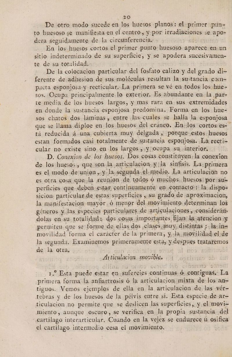 De otro modo sucede en los huesos planos: el primer pun= to huesoso se manifiesta en el centro, y por Ira cIoNes se apo dera seguidamente de la circunferencia. | En los huesos cortos el primer punto huesoso aparece en: un sitio indeterminado de su Aptos y se Upedega sucesivamen- te de su totalidad. - De la colocacion particular del fosfato ia y del grado di= ferente de adhesion de sus moléculas resultan la sustancia «com- pacta esponjosa-y recticular. La primera se vé en todos los hue- sos. Ocupa principalmente lo exterior. Es abundante en. la par- te media de los huesos largos, y mas rara en sus extremidades en donde la sustancia esponjosa predomina. Forma en los hue- sos chatos dos láminas, entre .las. cuales se halla la esponjosa que se llama diploe en los huesos del cráneo. En..los cortos es= tá reducida á. una cubierta muy delgada , porque estos huesos estan formados casi totalmente de sustancia esponjosa. La recti- cular no existe sino en los largos , y ocupa su interior, D. Conexion de los huesos. Dos cosas constitayen:la conexion de los huesos, que son, la articulacion. y ¡la sinfisis. La primera es el modo de'unien,-y. la. segunda. el.medio. La articulación no es otra cosa que: la reunion. de todos ó muchos. huesos por: sub perficies que deben estar continuamente en. contacto; la dispo= sicion: particular, de estas: superficies , Su grado. de aproximacion, la manifestacion mayor. ó menor del «movimiento. determinan los géneros y las especies particulares ; de articulaciones »: considerán- dolas en su totalidad: dos cosas, imperantes, fijan: da atencion :y periniten que se forme de ellas dos ¿clases, bi distintas ; :-la- ins movilidad forma el carácter de la primera, yla movilidad el.de la seguada. Examinemos primeramente esta, y despues trataremos de la otra. Ar bdlaios po 04 / Esta puede estar en. sufercies continuas. ó. contiguas. La Bed ra forma la anfiartrosis ó la articulacion mixta de los an- tiguos. Vemos ejemplos de ella en la articulación de las vér- tebras y de los huesos de la pélvis entre sí. Esta especie, de ar—- ticulacion no permite que se deslicen las superficies, y el movi- miento, aunque oscuro, se verifica en la propia sustancia del carlago interarticular. Cuando en la vejez se endurece ú osifica el cartílago intermedio cesa el movimiento.