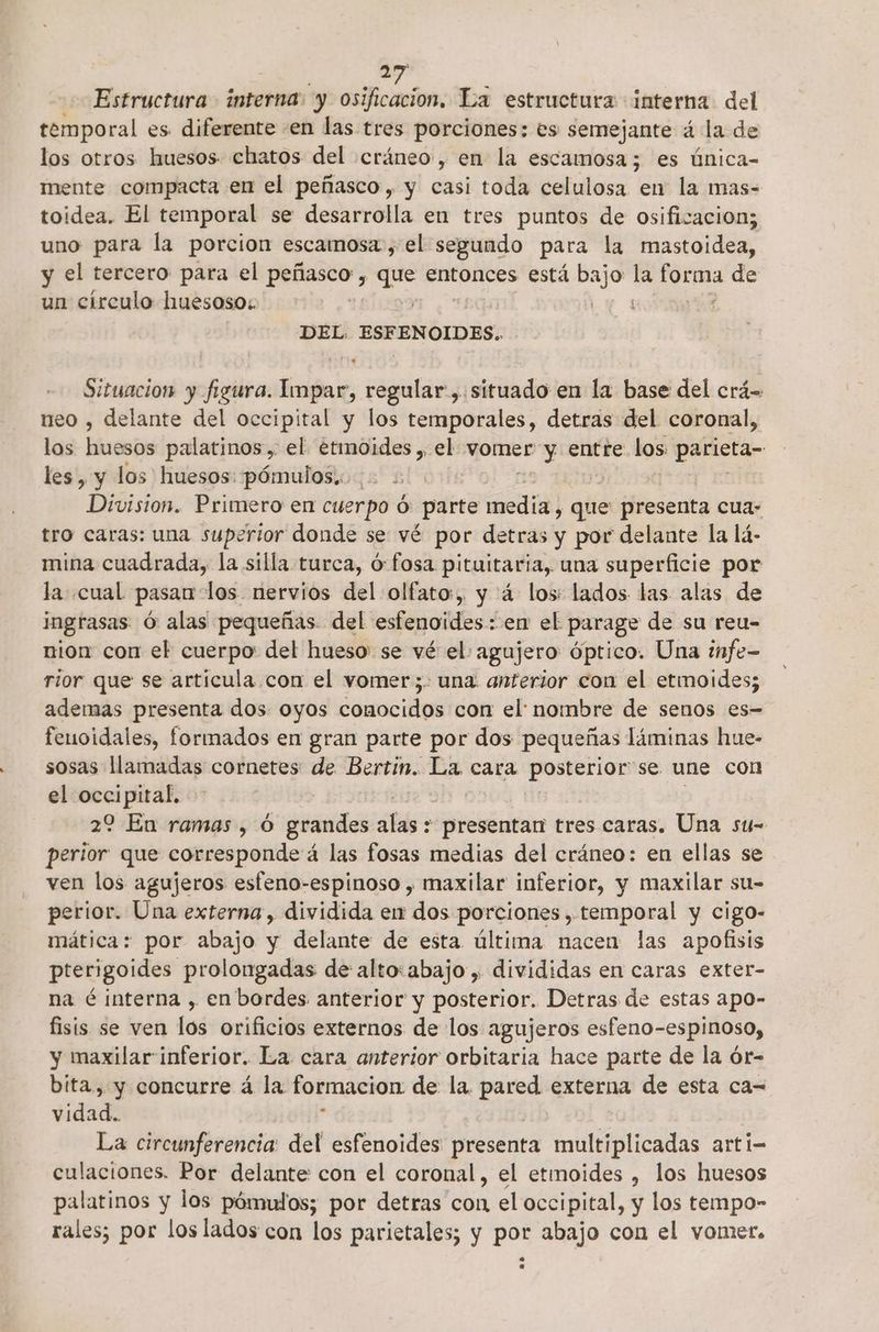 só Estructura interna: y osificacion. La estructura interna del temporal es diferente -en las tres porciones: es semejante á la de los otros huesos. chatos del cráneo, en la escamosa; es única- mente compacta en el peñasco, y casi toda celulosa en la mas- toidea. El temporal se desarrolla en tres puntos de osificacion; uno para la porcion escamosa, el segundo para la mastoidea, y el tercero para el cg A que entonces está bajo la forma de un círculo huesoso: | LA DEL. ESFENOIDES.. Situacion y figura. Impar, regular, situado en la base del crá- neo , delante del occipital y los temporales, detras del coronal, los .. palatinos,. el etmoides , el vomer y entre los parieta- les, y los huesos: pómulos... ] Division. Primero en cuerpo ó: parte medía y que presenta cua- tro caras: una superior donde se vé por detras y por delante la lá- mina cuadrada, la silla turca, ó:fosa pituitaria, una superficie por la cual pasan los nervios del olfato, y :4 los: lados las alas de ingrasas Ó alas pequeñas del esfenoides: er el parage de su reu- nión con el cuerpo del hueso: se vé el agujero óptico. Una infe- rior que se articula. con el vomer;. una. anterior con el etmoides; ademas presenta dos oyos conocidos con el: nombre de senos es- fenoidales, formados en gran parte por dos pequeñas láminas hue- sosas llamadas cornetes de Bertín. La cara posterior: se une con el occipital. 22 En ramas, Ó grandes 0 > “presentan tres caras. Una su- perior que corresponde á las fosas medias del cráneo: en ellas se ven los agujeros esfeno-espinoso , maxilar inferior, y maxilar su- perior. Una externa, dividida e dos porciones , temporal y cigo- mática: por abajo y delante de esta última nacen las apofisis pterigoides prolongadas de alto:abajo , divididas en caras exter- na é interna , en bordes anterior y posterior. Detras de estas apo- fisis se ven los orificios externos de los agujeros esfeno-espinoso, y maxilar inferior. La cara anterior orbitaria hace parte de la ór- bita, y concurre á la formacion de la. pared externa de esta ca= vidad. 3 La circunferencia: del esfenoides presenta if arti- culaciones. Por delante con el coronal, el etmoides , los huesos palatinos y los pómulos; por detras con el occipital, y los tempo- rales; por los lados con los parietales; y por abajo con el vomer.