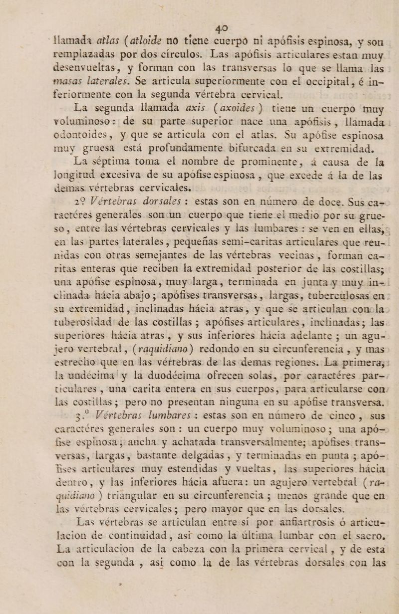 llamada atlas (atloide no tiene cuerpo ni apófisis espinosa, y son remplazadas por dos círculos. Las apófisis articulares estan muy desenvueltas, y forman con las transversas lo que se llama las - masas laterales. Se articula superiormente con el occipital, é in- feriormente con la segunda vértebra cervical. La segunda llamada axis (axoides ) tiene un cuerpo muy voluminoso: de su parte superior nace una apófisis, llamada . odontoides, y que se articula con el atlas. Su apófise espinosa muy gruesa está profundamente bifurcada en su extremidad. La séptima toma el nombre de prominente, á causa de la longitud excesiva de su apofise espinosa , que excede á la de las demas vértebras cervicales. ¡ 22 Vértebras dorsales : estas son en número de doce. Sus ca= ractéres generales..son:un cuerpoque tiene el medio por su grue- so, entre las vértebras cervicales y las lumbares : se ven en ellas;: en las partes laterales , pequeñas semi-caritas articulares que reu-. nidas con otras semejantes de las vértebras veciauas, forman ca- ritas enteras que reciben la extremidad posterior de las costillas; una apófise espinosa, muy larga, terminada en junta y muy in-. clinada hácia abajo; apófises transversas, largas, tuberculosas en . su extremidad , inclinadas hácia atras, y que se articulan concla. tuberosidad' de las costillas ; apófises articulares, inclinadas; las. superiores hácia atras , y sus inferiores hácia adelante ; un agu- jero vertebral, (raquidiano) redondo en su circunferencia , y mas estrecho que en las vértebras de las demas regiones. La primera;: la uadecima y la duodécima ofrecen solas, por caractéres par=. ticulares , una carita entera en :sus cuerpos, para articularse con: las costillas; pero ¡no presentan ninguna en su apófise transversa. £  Vértebras lumbares: estas son en número de cinco, sus ctéres alas son: un cuerpo muy voluminoso; una apó= fe esp hotel «aucha. y achatada transversalmente; - apúfises trans- versas, largas, bastante delgadas , y terminadas en punta ; apó- Éses articulares muy estendidas y vueltas, las superiores hácia dentro, y las inferiores hácia afuera: un agujero vertebral (ra- quidiano ) triangular en su circunferencia ; menos grande que en las vertebras cervicales; pero mayor que en las dorsales. Las vértebras se articulan entre si por anfiartrosis ó articu- lacion de continuidad, así como la última lumbar con el sacro, La articulacion de la cabe eza con la primera cervical , y de esta con la segunda , asi como la de las vértebras dorsales con las *