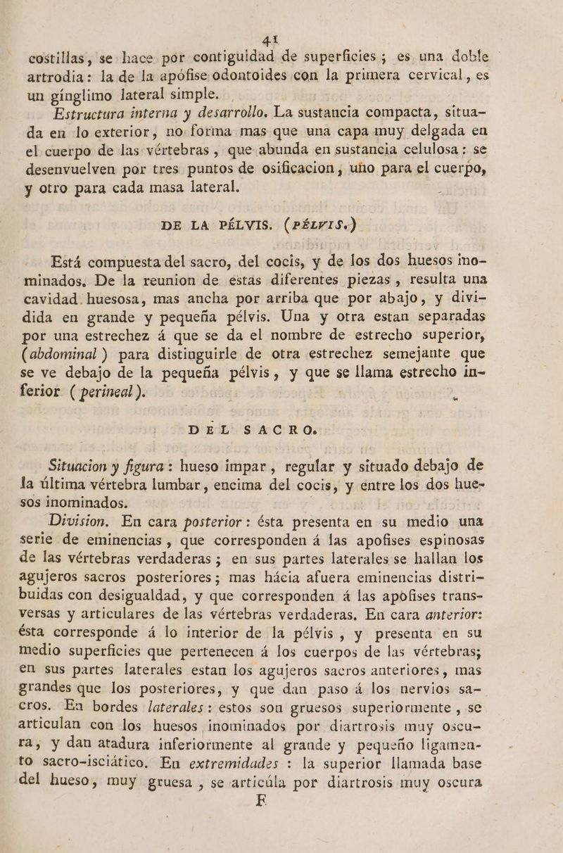 costillas, se hace por contiguidad de superficies; es una doble artrodia: la de la apófise odontoides con la primera cervical, es un gínglimo lateral simple. Estructura interna y desarrollo, La sustancia compacta, situa— da en lo exterior, no. forma mas que una capa muy delgada en el cuerpo de las vértebras , que abunda en sustancia celulosa : se desenvuelven por tres puntos de osificacion, uho para el cuerpo, y otro para cada masa lateral. DE LA PÉLVIS. (PÉLVIS.) Está compuesta del sacro, del cocis, y de los dos huesos imo- minados. De la reunion de estas diferentes piezas , resulta una cavidad huesosa, mas ancha por arriba que por abajo, y divi- dida en grande y pequeña pélvis. Una y otra estan separadas por una estrechez á que se da el nombre de estrecho superior, (abdominal ) para distinguirle de otra estrechez semejante que se ve debajo de la pequeña pélvis, y que se llama estrecho ¡n- ferior ( perineal). ! S DEL SACRO. Situacion y figura: hueso impar , regular y situado debajo de la última vértebra lumbar , encima del cocis, y entre los dos hue- sos inominados. | pod Division. En cara posterior: ésta presenta en su medio una serie de eminencias, que corresponden á las apofises espinosas de las vértebras verdaderas ; en sus partes laterales se hallan los agujeros sacros posteriores; mas hácia afuera eminencias distri- buidas con desigualdad, y que corresponden á las apofises trans- versas y articulares de las vértebras verdaderas. En cara anterior: ésta corresponde á lo interior de la pélvis , y presenta en su medio superficies que pertenecen á los cuerpos de las vértebras; en sus partes laterales estan los agujeros sacros anteriores , mas grandes que los posteriores, y que dan paso á los nervios sa- cros. En bordes laterales: estos son gruesos superiormente , se articulan con los huesos inominados por diartrosis muy oscu= ra, y dan atadura inferiormente al grande y pequeño ligamen- to sacro-isciático. En extremidades : la superior llamada base del hueso, muy gruesa , se articúla por diartrosis muy oscura