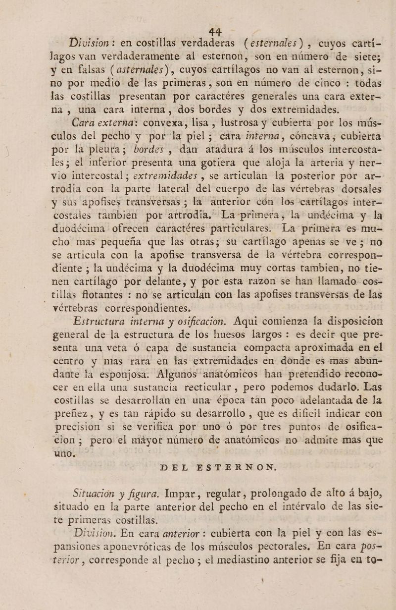 A. > Division: en costillas verdaderas (esternales) , Cuyos carti- lagos van verdaderamente al esternon, son en número de siete; y en falsas ( asternales), cuyos cartilagos no van al esternon, si- no por medio de las primeras, son en número de cinco : bodas las costillas presentan por caractéres generales una cara exter- na , una cara interna, dos bordes y dos extremidades. Cara externa: convexa, lisa , lustrosa y cubierta por los mús- culos del pecho y por la piel; cara interna, cóncava, cubierta por la pleura; bordes , dan atadura á los músculos intercosta- les; el inferior presenta una gotiera que aloja la arteria y ner- vio intercostal; extremidades , se articulan la posterior por ar- trodia con la parte lateral del cuerpo de las vértebras dorsales y sus apofises transversas ; la anterior cón los cartílagos inter costales tambien por artrodía. La-primera, la undécima y la duodécima ofrecen caractéres particulares. La primera es mu-= cho mas pequeña que las otras; su cartílago apenas se ve; no se articula con la apofise transversa de la vértebra correspon diente ; la undécima y la duodécima muy cortas tambien, no tie- nen cartílago por delante, y por esta razon se han llassado! cos- tillas flotantes : no se articulan con las apofises transversas de las vértebras correspondientes. Estructura interna y osificacion. Aqui comienza la disposicion general de la estructura de los huesos largos : es decir que pre- senta una veta ó capa de sustancia compacta aproximada en el centro y mas rara en las extremidades en donde es mas abun- dante la esponjosa. Algunos anatómicos han pretendido recono- cer en ella una sustancia recticular, pero podemos dudarlo. Las costillas se desarrollan en una: época tán poco adelantada de la preñez, y es tan rápido su desarrollo , que es dificil indicar con precision si se verifica por uno ó por tres puntos de osifica- cion; pero el máyor número de anatómicos no admite mas que uno. | DEL ESTERNON. Situación y figura. Impar, regular, prolongado de alto á bajo, situado en la parte anterior del pecho en el intérvalo de las sie- te primeras costillas, Division. En cara anterior : cubierta con la piel y con las es- pansiones aponevróticas de los músculos pectorales. En cara pos- terior , corresponde al pecho ; el mediastino anterior se fija en to- 1