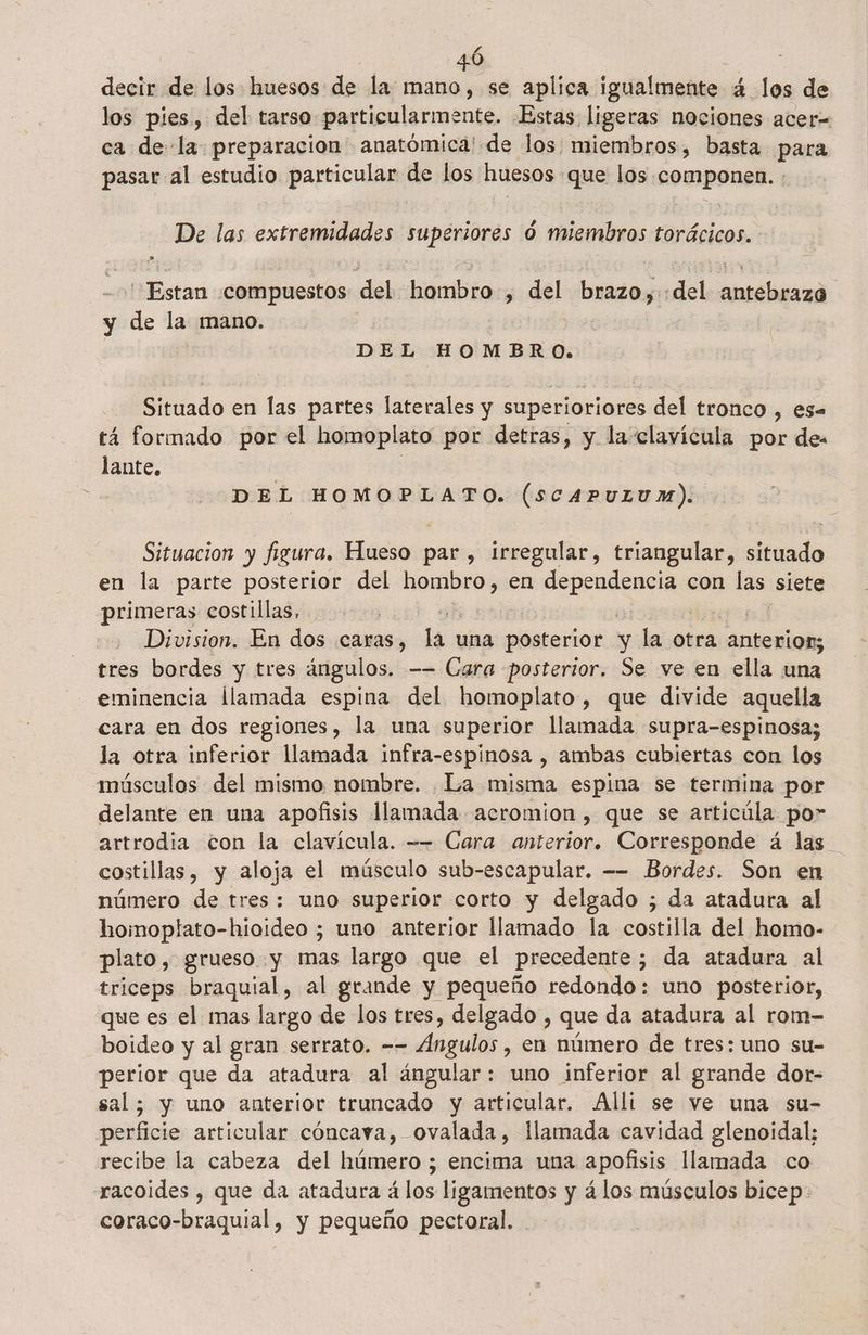 £ 40 decir de los huesos de la mano, se aplica igualmente 4 los de los pies, del tarso particularmente. Estas ligeras nociones acer= ca dela. preparacion anatómica' de los: miembros, basta para pasar al estudio particular de los huesos que los. copada De las extremidades pp: o miembros torácicos. - “Estan compuestos del hombro +: del AO del judia y die la mano. DEL HOMBRO. Situado en las partes laterales y superioriores del tronco , es= tá formado por el homoplato por detras, y la clavícula por de: lante. | DEL HOMOPLATO. (scAPULUM). Situacion y fi ¿gura, aio par, Irregular, triangular, situado en la parte posterior del ASADOS en AS con las siete primeras costillas, | Division. En dos caras, bs una posterior y la otra cio tres bordes y tres ángulos. -- Gara posterior. Se ve en ella una eminencia llamada espina del homoplato, que divide aquella cara en dos regiones, la una superior llamada supra-espinosa; la otra inferior llamada infra-espinosa , ambas cubiertas con los músculos del mismo nombre. La misma espina se termina por delante en una apofisis llamada acromion , que se articúla po” artrodia con la clavícula. -- Cara anterior. Corresponde á las costillas, y aloja el músculo sub-escapular. -- Bordes. Son en número de tres: uno superior corto y delgado ; da atadura al hoinoptato-hioideo ; uno anterior llamado la costilla del homo- plato, grueso y mas largo que el precedente ; da atadura al triceps braquial, al grande y pequeño redondo: uno posterior, que es el mas largo de los tres, delgado , que da atadura al rom- boideo y al gran serrato. -- Angulo, en número de tres: uno su- perior que da atadura al ángular: uno inferior al grande dot- sal; y uno anterior truncado y articular. Alli se ve una su- petfici articular cóncava, ovalada, llamada cavidad glenoidal; recibe la cabeza del húmero ; encima una apofisis llamada co racoides , que da atadura á los ligamentos y á los músculos bicep: coraco-braquial, y pequeño pectoral.