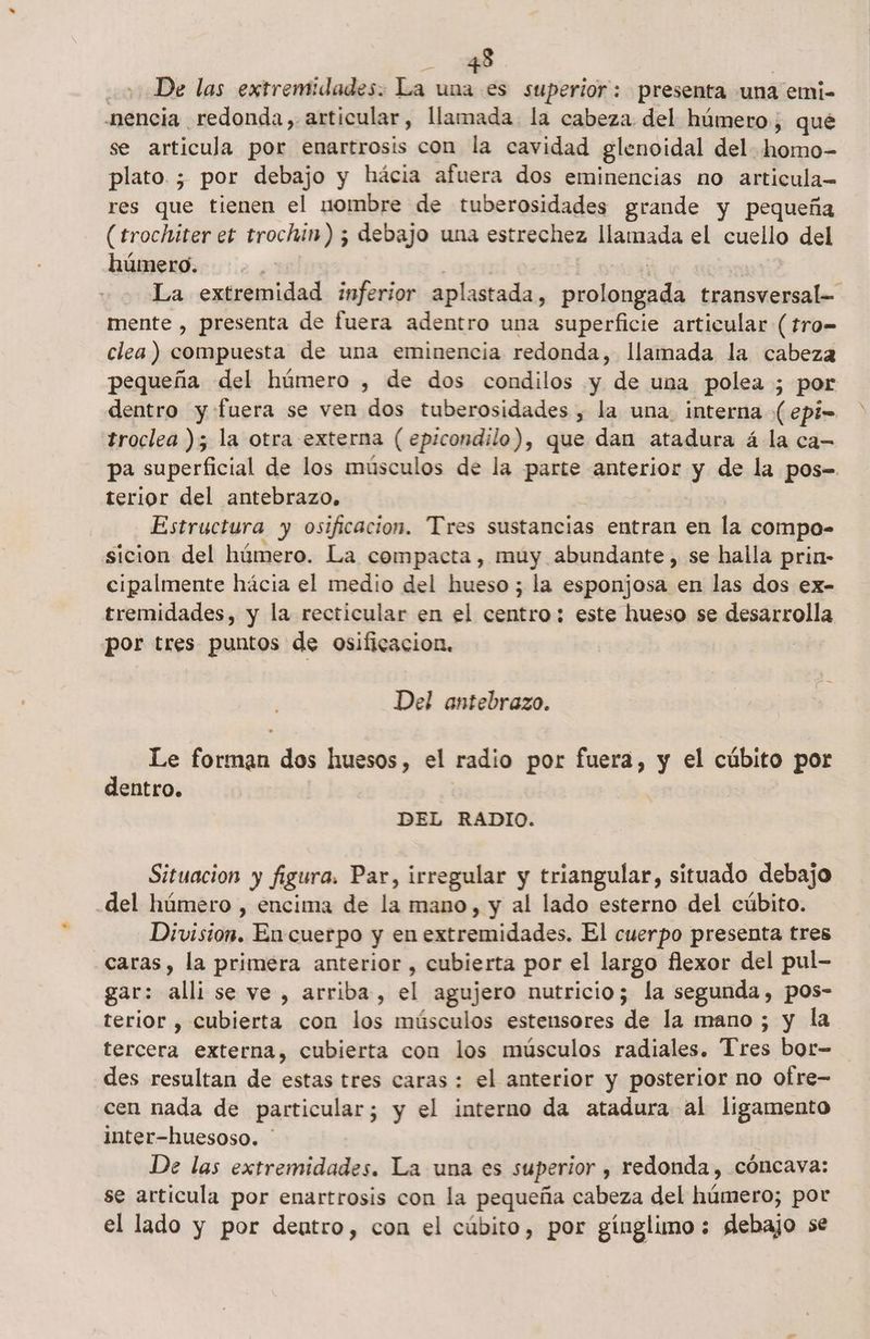 De las extremidades. La una es superior: presenta una emi- nencia redonda, articular, llamada la cabeza del húmero ; qué se articula por enartrosis con la cavidad glenoidal del. A plato. ; por debajo y hácia afuera dos eminencias no articula res que tienen el nombre de tuberosidades grande y pequeña (trochiter et trochin) 5 debajo una estrechez llamada el cuello del húmero. La extremidad inferior aplastada, pla transversal= mente , presenta de fuera adentro una superficie articular (tro= clea) compuesta de una eminencia redonda, llamada la cabeza pequeña del húmero , de dos condilos y de uma polea ; por dentro y fuera se ven dos tuberosidades , la una. interna kepin troclea )5 la otra externa (epicondilo), que dan atadura á la ca— pa superficial de los músculos de la parte anterior y de la pos-. terior del antebrazo, z Estructura y osificacion. Tres sustancias entran en la compo- sicion del húmero. La compacta, muy abundante, se halla prin- cipalmente hácia el medio del hueso ; la esponjosa en las dos ex- tremidades, y la recticular en el centro: este hueso se desarrolla por tres puntos de osificacion, Del antebrazo. Le hd dos huesos, el radio por fuera, y el cúbito por dentro. DEL RADIO. Situacion y figura. Par, irregular y triangular, situado debajo .del húmero , encima de la mano , y al lado esterno del cúbito. iii En cuerpo y en extremidades. El cuerpo presenta tres caras, la primera anterior , cubierta por el largo flexor del pul- gar: alli se ve, arriba, el agujero nutricio; la segunda, pos- terior , cubierta con los músculos estensores de la mano ; y la tercera externa, cubierta con los músculos radiales. Tres bor- des resultan de estas tres caras : el anterior y posterior no ofre- cen nada de particular; y el interno da atadura al ligamento inter-huesoso. ' De las extremidades. La una es superior , redonda , cóncava: se articula por enartrosis con la pequeña cabeza del húmero; por el lado y por deutro, con el cúbito, por gínglimo ; debajo se
