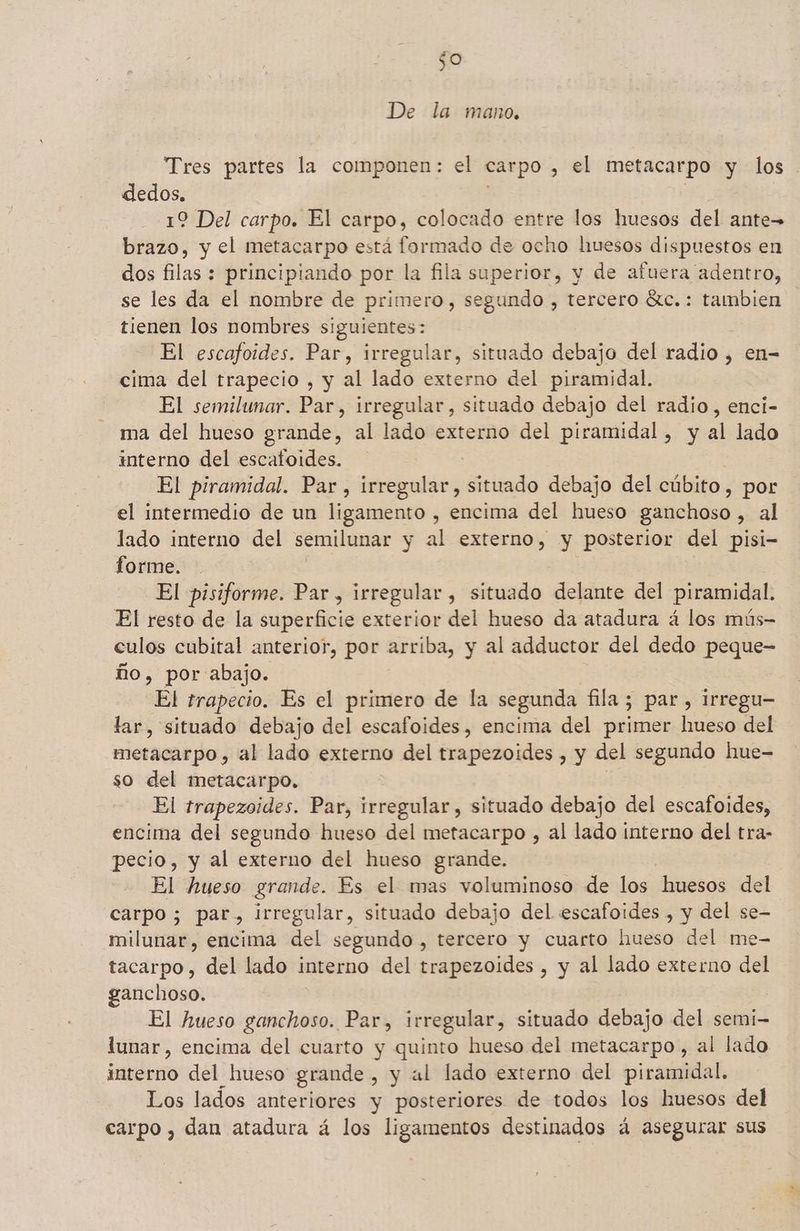 De la mano. Tres partes la componen: el carpo > el metacarpo y los dedos. 19 Del carpo. El carpo, colocado entre los huesos del ante= brazo, y el metacarpo está formado de ocho huesos dispuestos en dos filas : principiando por la fila superior, y de afuera adentro, se les da el nombre de primero, segundo , tercero «xc. : a tienen los nombres siguientes: El escafoides. Par, irregular, situado debajo del radios , en= cima del trapecio , y al lado externo del piramidal. El semilunar. Par, irregular, situado debajo del radio, enci- ma del hueso grande, al lado externo del piramidal , y al lado interno del escafoides. | El piramidal. Par , irregular, situado debajo del cúbito, por el intermedio de un ligamento , encima del hueso ganchoso, al lado interno del semilunar y al externo, y posterior del pisi- forme. El pisiforme. Par , irregular, situado delante del piramidal. El resto de la superficie exterior del hueso da atadura á los mús- culos cubital anterior, por arriba, y al adductor del dedo peque- ño, por abajo. El trapecio. Es el primero de la segunda fila; par, irregu- lar, situado debajo del escafoides, encima del primer hueso del metacarpo, al lado externo del trapezoides , y del segundo hue- so del imetacarpo. El trapezoides. Par, irregular, situado debajo del escafoides, encima del segundo hueso del metacarpo , al lado interno del tra- pecio, y al externo del hueso grande. El hueso grande. Es el mas voluminoso de los huesos del carpo ; par, irregular, situado debajo del escafoides , y del se- milunar, encima del segundo , tercero y cuarto hueso del me- tacarpo, del lado interno del trapezoides , y al lado externo del ganchoso. El hueso ganchoso. Par, irregular, situado debajo del semi lunar, encima del cuarto y quinto hueso del metacarpo , al lado interno del hueso grande , y al lado externo del piramidal, Los lados anteriores y posteriores de todos los huesos del carpo , dan atadura á los ligamentos destinados á asegurar sus