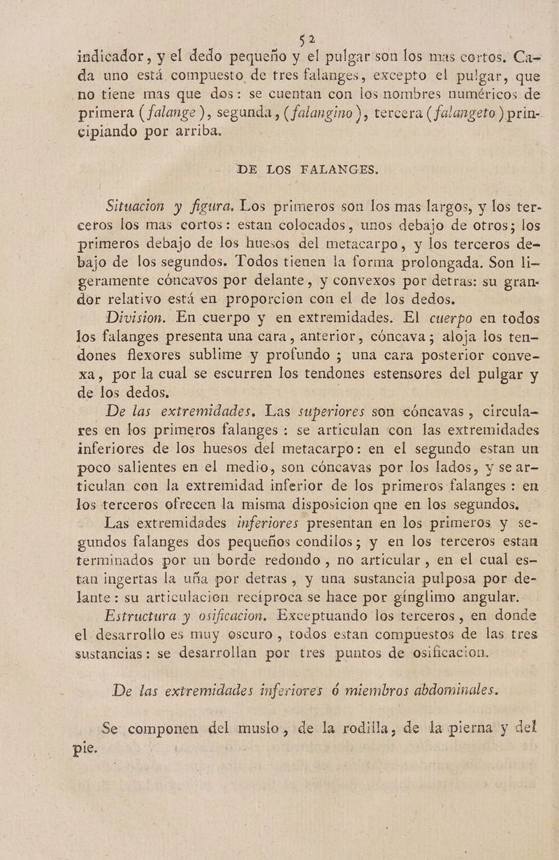 9 indicador, y el dedo pequeño y el pulgar son los mas cortos. Ca= da uno está compuesto de tres falanges, excepto el pulgar, que no tiene mas que dos: se cuentan con los nombres numéricos de primera ( falange), o. , (falangino ), tercera ( falangeto ) prin- cipiando por arriba. | DE LOS FALANGES. Situacion y figura. Los primeros son los mas largos, y los ter- ceros los mas cortos: estan colocados, unos debajo de otros; los primeros debajo de los huesos del metacarpo, y los terceros de- bajo de los segundos. Todos tienen la forma prolongada. Son li- geramente cóncavos por delante, y convexos por detras: su gran: dor relativo está en proporcion con el de los dedos. Division. En cuerpo y en extremidades. El cuerpo en todos los falanges presenta una cara , anterior, cóncava; aloja los ten dones flexores sublime y odo 5 una cara poco: conve- xa, por la cual se escurren los tendones estensores del pulgar y de los dedos. De las extremidades. Las superiores son cóncavas , circula res en los primeros falanges : se articulan con las extremidades inferiores de los huesos del metacarpo: en el segundo estan un poco salientes en el medio, son cóncavas por los lados, y se ar- ticulan cen la extremidad inferior de los primeros falanges : en. los terceros ofrecen la misma disposicion qne en los segundos. Las extremidades ¿nferiores presentan en los primeros y se- gundos falanges dos pequeños condilos; y en los terceros estan terminados por un borde redondo , no articular , en el cual es- tan ingertas la uña por detras , y una sustancia pulposa por de- lante: su articulación recíproca se hace por gínglimo angular. - Estructura y osificacion. Exceptuando los terceros, en donde el desarrollo es muy oscuro , todos estan compuestos de las tres sustancias: se desarrollan por tres puntos de osificacion.- De las extremidades inferiores 6 miembros abdominales. Se componen del muslo, de la rodilla, de la pierna y del ple. |