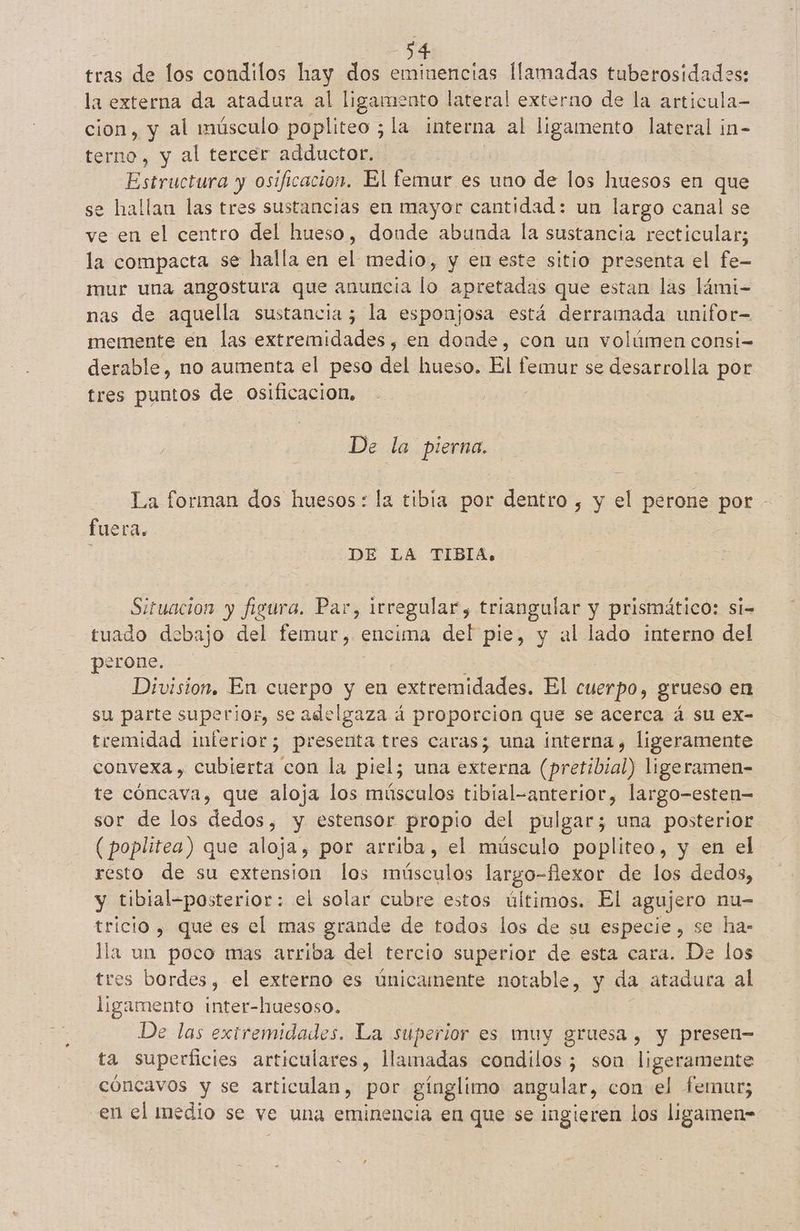 tras de los condilos hay dos eminencias llamadas tuberosidades: la externa da atadura al ligamento lateral externo de la articula- cion, y al músculo popliteo ; la interna al ligamento lateral in- terno, y al tercer adductor. Estructura y osificacion. El femur es uno de los huesos en que se hallan las tres sustancias en mayor cantidad: un largo canal se ve en el centro del hueso, donde abunda la sustancia recticular; la compacta se halla en el medio, y en este sitio presenta el fe- mur una angostura que anuncia lo apretadas que estan las lámi- nas de aquella sustancia; la esponjosa está derramada unifor= memente en las extremidades, en donde, con un volúmen consi= derable, no aumenta el peso del hueso. El femur se desarrolla por tres puntos de osificacion. De la pierna. La forman dos huesos: la tibia por dentro , y el perone por fuera. E DE LA TIBIA. Situacion y figura. Par, irregular, triangular y prismático: si= tuado debajo del femur, encima del pie, y al lado interno del perone. Division. En cuerpo y en extremidades. El cuerpo, grueso en su parte superior, se adelgaza á proporcion que se acerca á su ex- tremidad inferior; presenta tres caras; una interna , ligeramente convexa, cubierta con la piel; una externa (pretibial) ligeramen- te cóncava, que aloja los músculos tibial-anterior, largo-esten- sor de los dedos, y estensor propio del pulgar; una posterior (poplitea) que aloja, por arriba, el músculo popliteo, y en el resto de su extension los músculos largo-fexor de los dedos, y tibial-posterior: el solar cubre estos últimos. El agujero nu- trício , que es el mas grande de todos los de su especie, se ha: lla un poco mas arriba del tercio superior de esta cara. De los tres bordes, el externo es únicamente notable, y da atadura al ligamento inter-huesoso. De las extremidades. La superior es muy gruesa, y presen= ta superficies articulares, llamadas lldeas ¿ son ligeramente cóncavos y se articulan, por ginglimo angular, con el femur; en el medio se ve una eminencia en que se ingieren los ligamen-