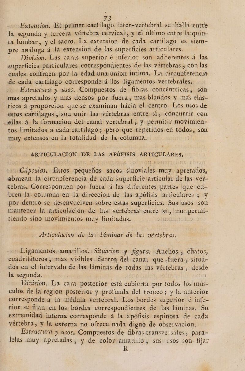 Extension. El primer cartílago idos clar se baña entre la segunda y tercera vértebra cervical, y el último entre la quin- ta lumbar, y el sacro. La extension de cada cartílago es siem- pre análoga á la extension de las superficies articulares. Division. Las caras superior é inferior son adherentes á las superficies particulares correspondientes de las vértebras , con las cuales contraen por la edad una union íntima. La circunferencia de cada cartílago corresponde á:'los ligamentos vertebrales. Estructura y usos. Compuestos de fibras concéntricas, son mas apretados. y mas densos por fuera, mas blandos y mas elás- ticos á proporcion que se examinan hol el centro. Los usos de estos cartílagos , son unir las vértebras entre: si, concurrir con ellas. á la formacion del canal vertebral, y permitir movimien- tos limitados a cada cartílago ; -pero que tido en todos, son muy extensos en la totalidad de la columna. ARTICULACION DE LAS APÓFISIS ARTICULARES, E OS! Leo E «Cápsulas, Estos pequeños sacos sinoviales muy apretados, abrazan la circunferencia de cada superficie articular de las vér- tebras. Corresponden por fuera á las diferentes partes que cu- bren la. columna en la direccion de las apófisis articulares ; y por dentro se desenvuelven sobre estas superficies. Sus usos son mantener la articulación de las: vértebras entre sí', no permi- tiendo sino movimientos muy limitados, 40 3 Articulacion de las láminas de las vértebras. - Ligamentos. amarillos. Situacion y figura. Anchos, chatos, cuadriláteros , mas visibles dentro del canal que .fuera., situa- dos en el intervalo de las láminas de todas las vértebras z desde la segunda. Division. La cara posterior está cubierta por todos los mús- culos de la region posterior y profunda del tronco; y la anterior corresponde á la médula vertebral. Los bordes superior é infe- rior se fijan en los bordes correspondientes de las láminas. Su extremidad interna corresponde á la apófisis espinosa de cada vértebra, y la externa no ofrece nada digno de observacion. Estructura y usos. Compuestos de fibras transversales, para- lelas muy apretadas, y de color amarillo, sus usos son fijar K