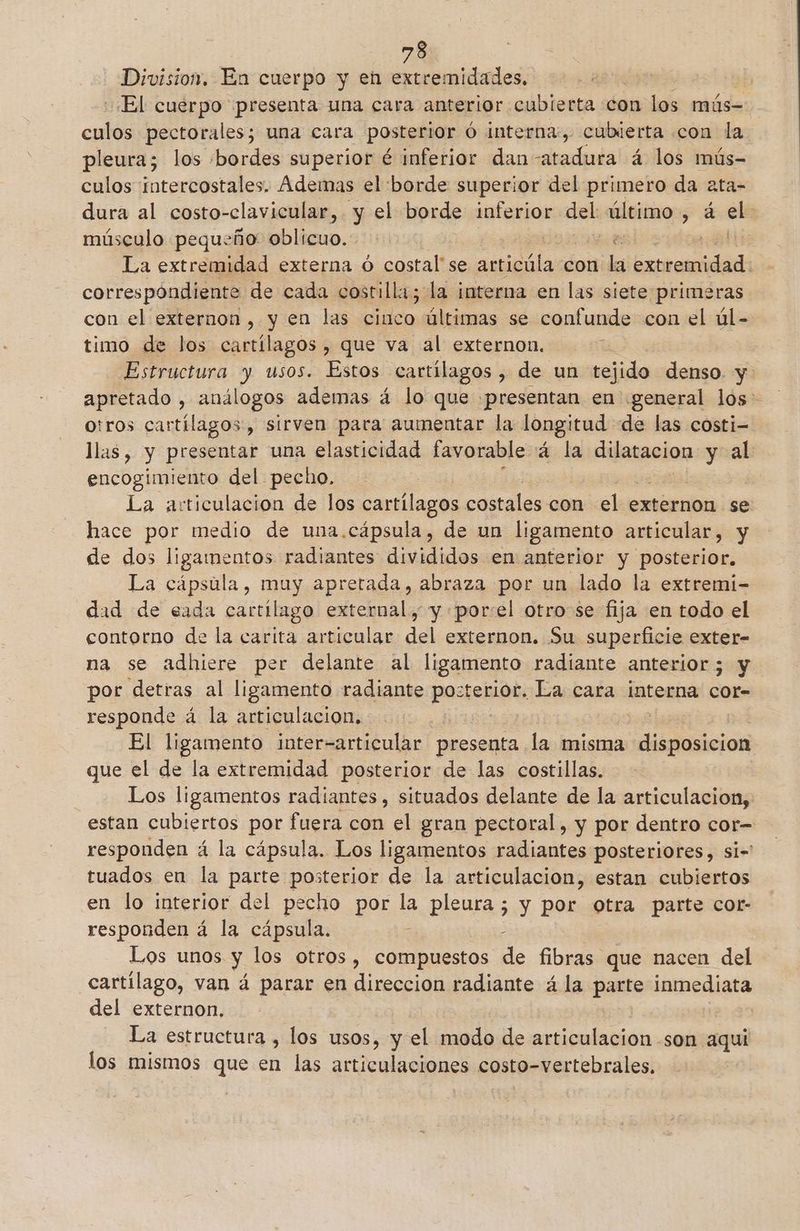 Division, En cuerpo y en extremidades, | El cuerpo presenta una cara anterior cubierta con los mús=- culos pectorales; una cara posterior Ó interna, cubierta .con la pleura; los :bordes superior é inferior dan atadura á los mús- culos intercostales. Ademas el borde superior del primero da ata- dura al costo-clavicular, y el borde inferior del decos , á eli músculo pequeño oblicuo. BAGS 8 La extremidad externa ó costal' se articúla con +9 extremidad. correspóndiente de cada costilla; la interna en las siete primeras con el externon, y en las cinco últimas se confunde con el úl- timo de los cartílagos, que va al externon. Estructura ? usos. Estos cartílagos , de un tejido denso. y apretado , análogos ademas á lo que presentan en «general lós- otros cartílagos, sirven para aumentar la longitud de las costi- llas, y presentar una elasticidad favorable 4 la dilatacion y al encogimiento del pecho. La articulacion de los cartílagos costales: con el externon se hace por medio de una.cápsula, de un ligamento articular, y de dos ligamentos radiantes divididos en anterior y posterior, La cápsula, Pa apretada, abraza por un lado la extremi- dad de eada cartílago external, y porel otro se fija en todo el contorno de la carita articular del externon. Su superficie exter- na se adhiere per delante al ligamento radiante anterior 5 y por detras al ligamento radiante posi bebiodi La cara interna cor- responde á la articulacion. El ligamento inter-articular a la misma dienosiejon que el de la extremidad posterior de las costillas. Los ligamentos radiantes, situados delante de la articulacion, estan cubiertos por fuera con el gran pectoral, y por dentro cor-= responden á la cápsula. Los ligamentos radiantes posteriores, si- tuados en la parte posterior de la articulacion, estan cubiertos en lo interior del pecho por la pleura ; y por otra parte cor- responden á la cápsula. Los unos. sá los otros , compuestos de fibras que nacen del cartílago, van á parar en direccion radiante á la parte inmediata del externon. La estructura , los usos, y el modo de articulacion -son aqui los mismos que en las articulaciones costo-vertebrales.