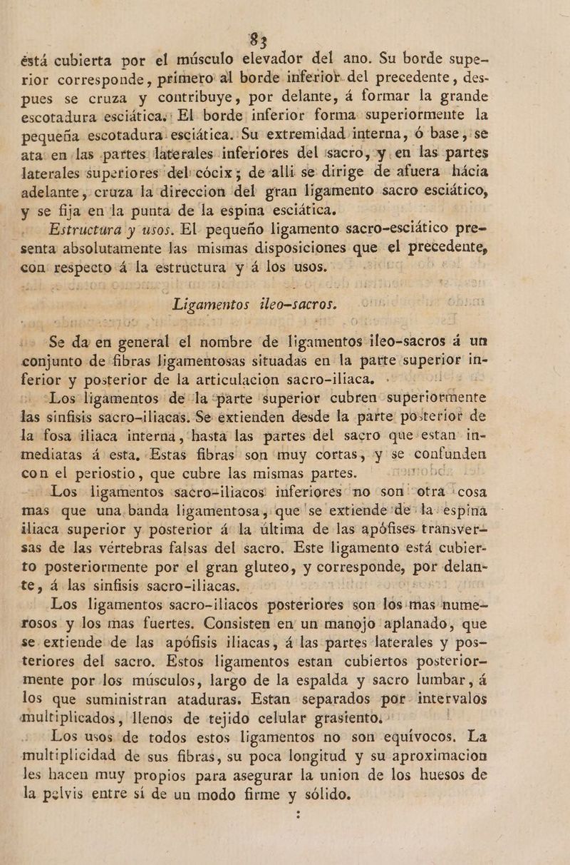 éstá cubierta por el músculo elevador del ano. Su borde supe- rior corresponde, primero al borde inferior. del precedente, des- pues se cruza y contribuye, por delante, á formar la grande escotadura esciáticas: El borde inferior forma: superiormente la pequeña escotadura. esciática. Su extremidad interna, Ó base, se ata. en las «partes laterales inferiores del :sacro, y.en las partes laterales superiores del cócix; de-alli se dirige de afuera hácia adelante, cruza la direccion del gran ligamento sacro esclático, y se fija en la punta de la espina esciática. Estructura y usos. El pequeño ligamento sacro-esciático pre= senta absolutamente las mismas disposiciones que . prose con: respecto d. la estructura y á los usos. : Ligamentos ¡leo-sacros, HA Se ad en general el hotñibre de ligimentos ¿leo=shcros á un conjunto de fibras ligamentosas situadas en la parte superior ¡n- ferior y posterior de la articulacion sacro-iliaca, E Los ligamentos de la “parte 'superior cubren: superiormente las sinfisis sacro-iliacas. Se extienden desde la parte posterior de la fosa iliaca interna, hasta las partes del sacro que-estan' in- mediatas á esta, “Estas fibras son muy cortas, y se M7 con el periostio, que cubre las mismas partes. o Baz.. Los ligamentos «sacro-iliacos: inferiores no son otra «cosa mas que una.banda ligamentosa y: que 'se extiende de la: espina iliaca superior y posterior á: la última de las apófises transver sas de las vértebras falsas del sacro. Este ligamento está cubier- to posteriormente por el gran gluteo, y diras pun delan- te, á las sinfisis sacro-iliacas. - | Los ligamentos sacro-iliacos posteriores son los:mas nume- rosos y los mas fuertes. Consisten en un manojo aplanado, que se extiende de las apófisis iliacas, á las partes laterales y pos- teriores del sacro. Estos ligamentos estan cubiertos posterior— mente por los músculos, largo de la espalda y sacro lumbar, á los que suministran ataduras. Estan separados por. intervalos aultiplicados , llenos de tejido celular grasiento. - | Los usos de todos estos ligamentos no son equívocos. La multiplicidad de sus fibras, su poca longitud y su aproximacion les hacen muy propios para asegurar la union de los huesos de la pelvis entre sí de un modo firme y sólido.