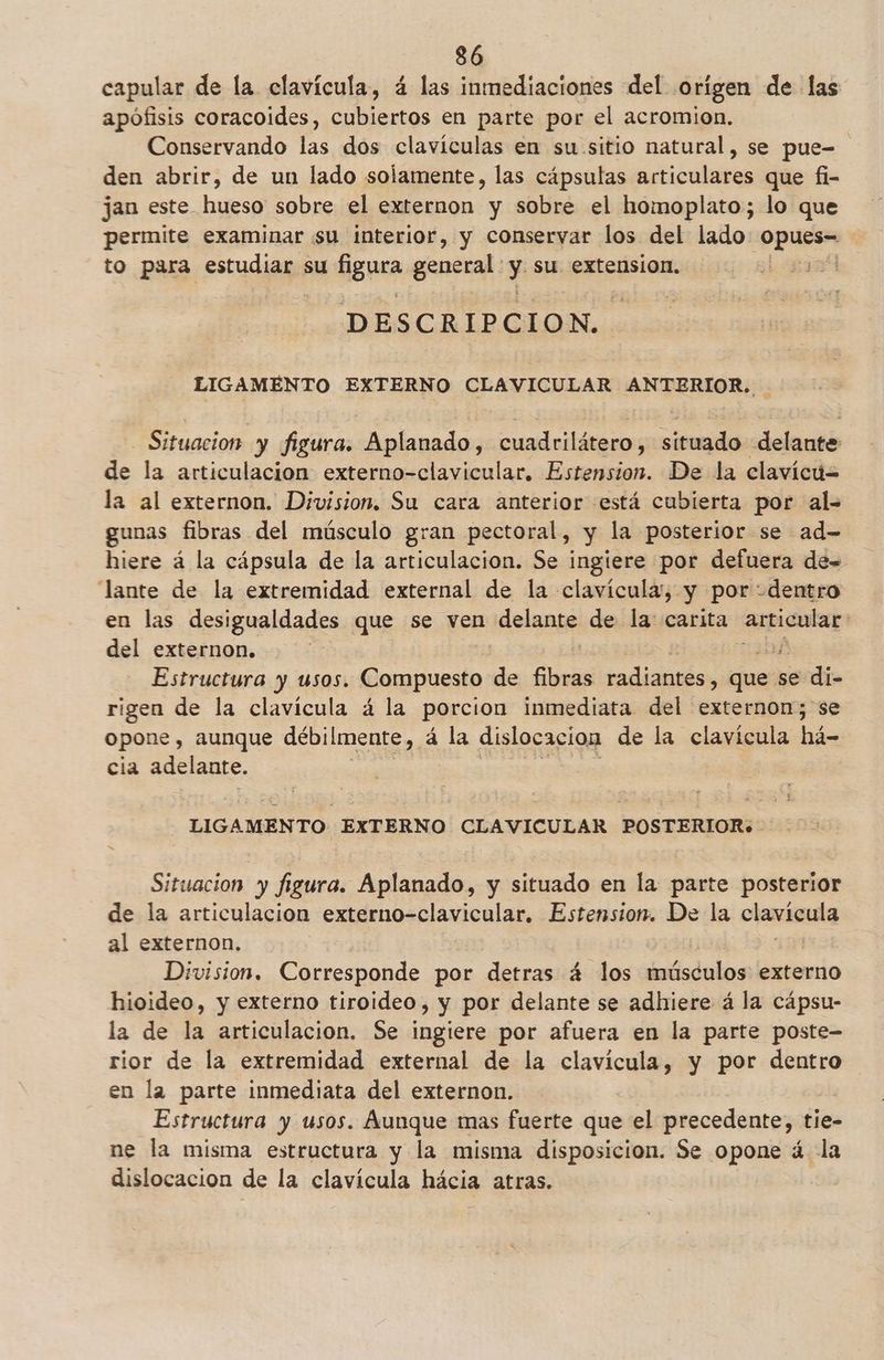 capular de la clavícula, á las inmediaciones del orígen de las apófisis coracoides, cubiertos en parte por el acromion. Conservando las dos claviculas en su sitio natural, se pue- den abrir, de un lado solamente, las cápsulas articulares que fi- jan este hueso sobre el externon y sobre el homoplato; lo que permite examinar su interior, y conservar los del lado dns to para estudiar su Hguea general: $ su extension. | DESCRIPCION. LIGAMENTO EXTERNO CLAVICULAR ANTERIOR. Situacion y figura. Aplanado, cuadrilátero, situado delante de la articulacion externo-clavicular. Estension. De la clavícu= la al externon. Division. Su cara anterior está cubierta por al- gunas fibras del músculo gran pectoral, y la posterior se ad- hiere á la cápsula de la articulacion. Se ingiere por defuera de= lante de la extremidad external de la clavícula, y por dentro en las desigualdades que se ven delante de la: carita artienlar del externon. | 04 Estructura y usos. Compuesto de fibras radiantes, ques! se di- rigen de la clavícula á la porcion inmediata del externon;'se opone, aunque débilmente, á la dislocacion de la clavícula há- cia adelante. LIGAMENTO EXTERNO CLAVICULAR POSTERIOR: Situacion y figura. Aplanado, y situado en la parte posterior de la articulacion externo-clavicular, Estemsion. De la clamicuda al externon. Division, Corresponde por detras 4 los músculos externo hioideo, y externo tiroideo, y por delante se adhiere á la cápsu- la de la articulacion. Se ingiere por afuera en la parte poste- rior de la extremidad external de la clavícula, y por dentro en la parte inmediata del externon. Estructura y usos. Áunque mas fuerte que el precedente, tie- ne la misma estructura y la misma disposicion. Se opone á la dislocacion de la clavícula hácia atras.