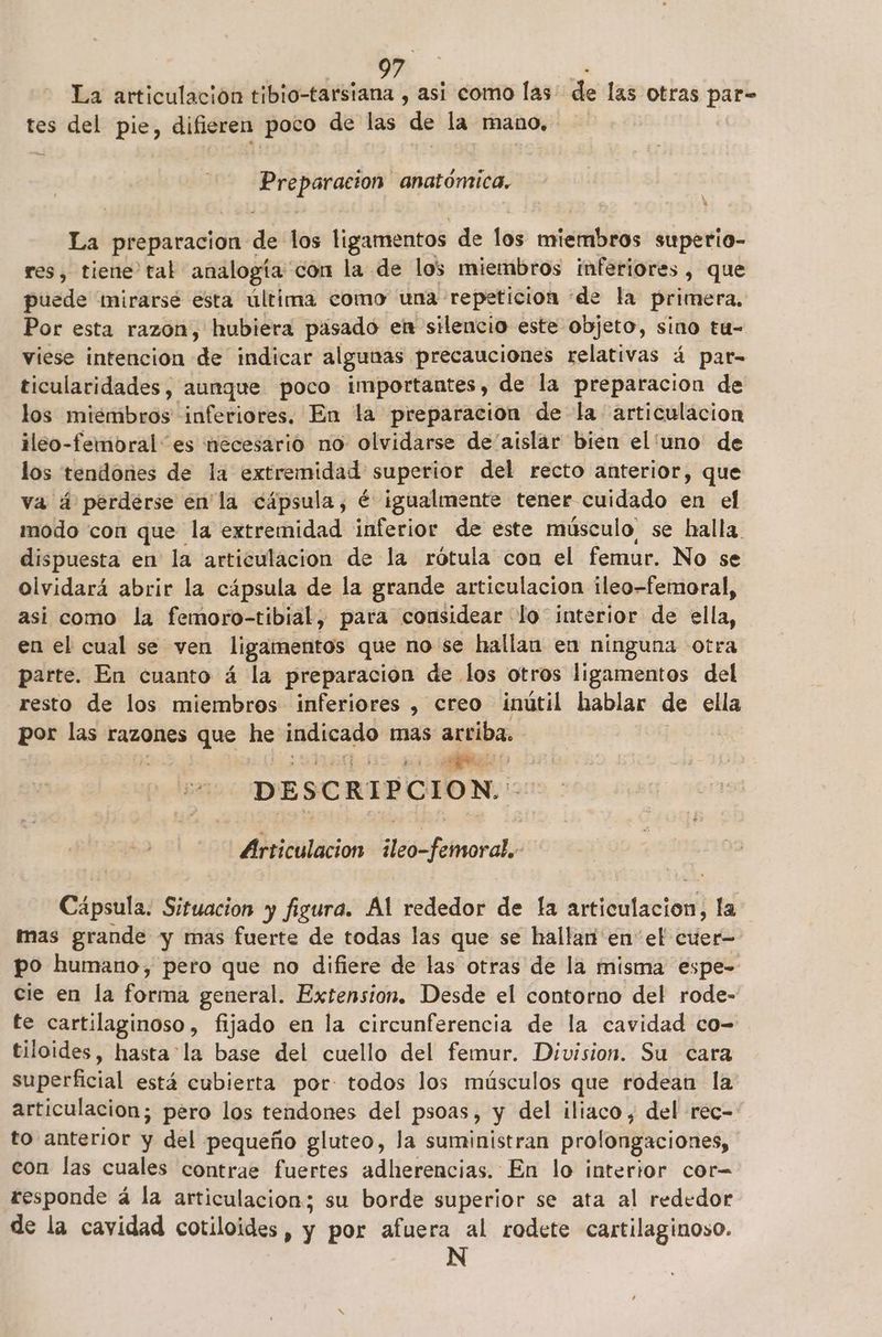 La articulación tibio-tarsiana , asi como las de las otras par- tes del pie, difieren poco de las de la mano. Preparacion anatómica. La preparacion de los ligamentos de los asian superio- res, tiene tal analogía con la de los miembros inferiores , que puede mirarsé esta última como una repeticion de la primera, Por esta razon, hubiera pasado en silencio este objeto, sino ta- viese intencion de indicar algunas precauciones relativas á par ticularidades, aunque poco importantes, de la preparacion de los miembros inferiores. En la preparacion de la articulacion ileo-femobral es nécesario no. olvidarse de aislar bien el'uno de los tendones de la extremidad superior del recto anterior, que va á perderse en'la cápsula, é igualmente tener cuidado en el modo con que la extremidad inferior de este músculo, se halla. dispuesta en la articulacion de la rótula con el femur. No se olvidará abrir la cápsula de la grande articulacion ileo-femoral, asi como la femoro-tibial, para considear lo interior de ella, en el cual se ven ligamentos que no se hallan en ninguna otra parte. En cuanto á la preparación de los otros ligamentos del resto de los miembros inferiores , creo inútil hablar de ella por las razones que he ir mas arriba. a DESCRIPCION. Articulación deócfemotati Cápsula. Situacion y figura. Al rededor de la dreléitacióó la mas grande y mas fuerte de todas las que se hallan en el cuer- po humano, pero que no difiere de las otras de la misma espe- cie en la Fria general. Extension. Desde el contorno del rode- te cartilaginoso, fijado en la circunferencia de la cavidad co- tiloides, hasta la base del cuello del femur. Division. Su cara superficial está cubierta por: todos los músculos que rodean la articulacion; pero los tendones del psoas, y del iliaco , del rec- to anterior y del pequeño gluteo, la suministran prolongaciones, con las cuales contrae fuertes adherencias. En lo interior cor= responde á la articulacion; su borde superior se ata al rededor de la cavidad cotiloides , y por afuera al rodete cartilaginoso.