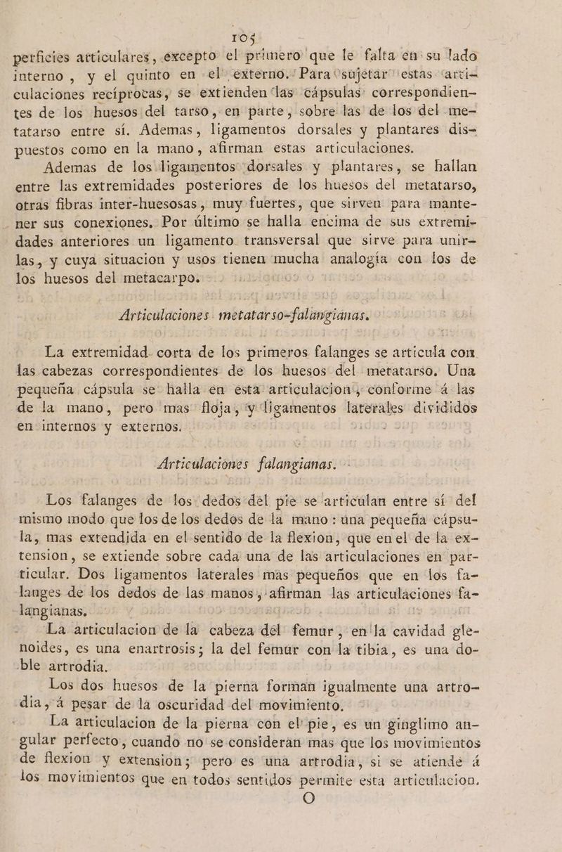 perficies articulares, excepto el primero 'que le falta en su lado interno , y el quinto en el externo. Para “sujetar estas -“artia culaciones recíprotas, se extienden las cápsulas: correspondien— tes de los huesos del tarso, en parte, sobre las de los del me- tatarso entre sí. Ademas, ligamentos dorsales y plantares dis puestos como en la mano, afirman estas articulaciones. Ademas de los ligamentos dorsales y plantares, se hallan entre las extremidades posteriores de los huesos del metatarso, otras fibras inter-huesosas, muy fuertes, que sirven para imante- ner sus conexiones. Por último se halla encima de sus extremi- - dades anteriores un ligamento. transversal que sirve para unir las, y cuya situacion y usos tienen mucha analogía con los de los huesos del metacarpo. O: Articulaciones metatarso-falangianas. La extremidad. corta de los primeros falanges se articula con. las cabezas correspondientes de los huesos del metatarso. Una pequeña cápsula se: halla en esta: articulacion:, conforme á- las de la mano, pero mas floja, y ligamentos laterales divididos en internos y externos. | | 2 Articulaciones falangianas. Los falanges de los dedos del pie se articulan entre sí del mismo modo que los de los dedos de la mano : úna pequeña cápsu- la, mas extendida en el sentido de la flexion, que enel de la ex- tension, se extiende sobre cada una de las articulaciones en pat- ticular. Dos ligamentos laterales mas pequeños que en los fa- langes de los dedos de las manos ,-afirman las articulaciones fa- langianas. | e E 80d La articulacion de la cabeza del femur, en'la cavidad gle- noides, es una enartrosis; la del femar con la tibia, es una do- ble artrodia. pa Los dos huesos de la pierna forman igualmente una artro- dia, á pesar de la oscuridad del movimiento, La articulacion de la pierna con el pie, es un ginglimo an- gular perfecto, cuando no se consideran mas que los movimientos de flexion y extension; pero es 'una artrodia, si se atiende á los movimientos que en todos sentidos permite esta articulacion. O