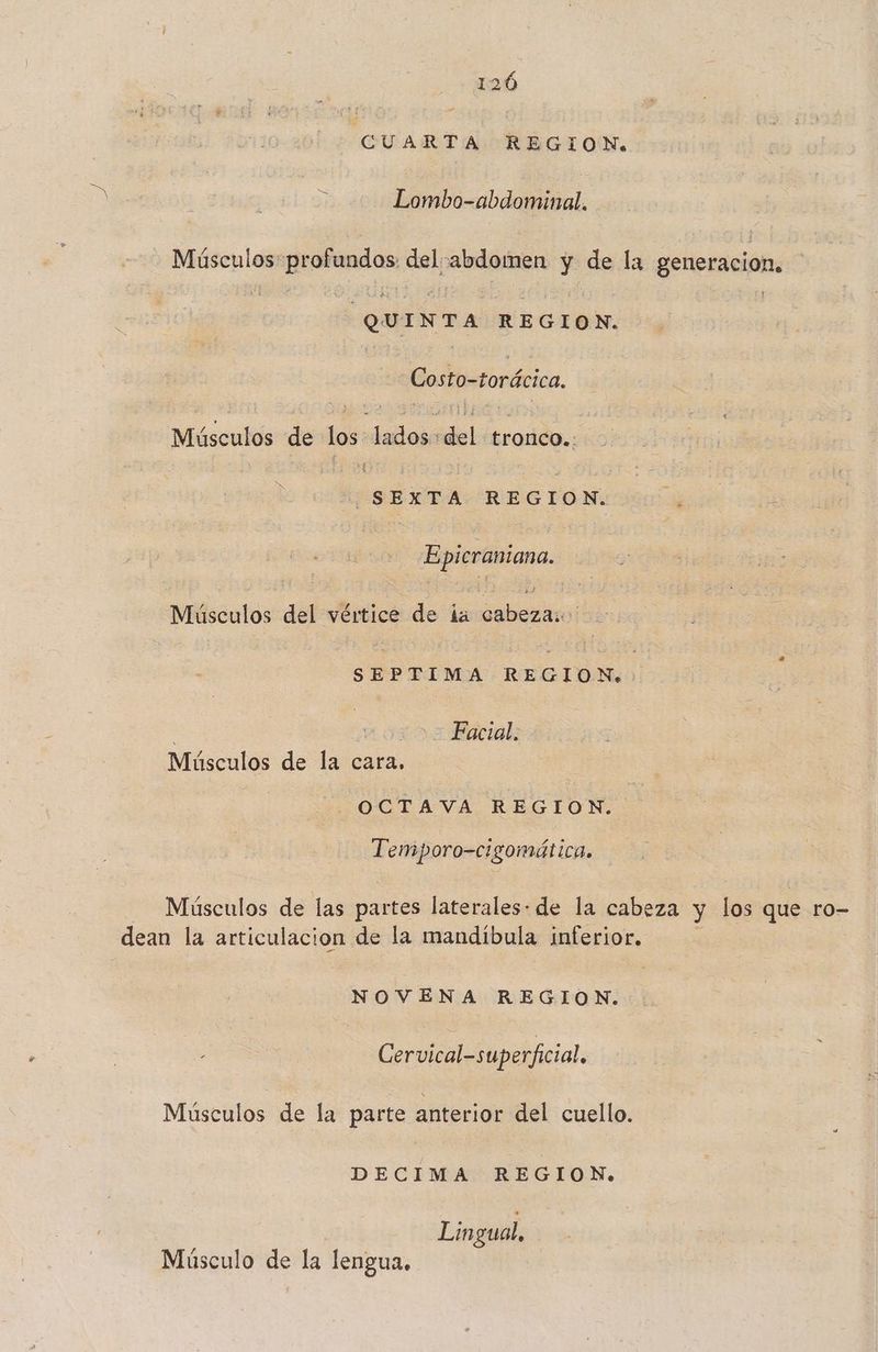 luisa 8 REGION. y Lombo-abdominal. a profundos dal abdomen y de la generación. | | QUINTA REGION. | Costo-torácica. Músculos de Los Jadosa bl tronco.: psa REGION. Epicraniana. Músculos del vértice de la Dalias ¡ SEPTIMA REGION, | | -= Facial. Músculos de la cara. OCTAVA REGION. Temporo-cigomática. Músculos de las partes Jaodratela de la cabeza y los que ro— dean la articulacion de la mandibula inferior. NOVENA REGION. Cervical-superficial. Músculos de la parte anterior del cuello. DECIMA REGION. Lingual, Músculo de la lengua.