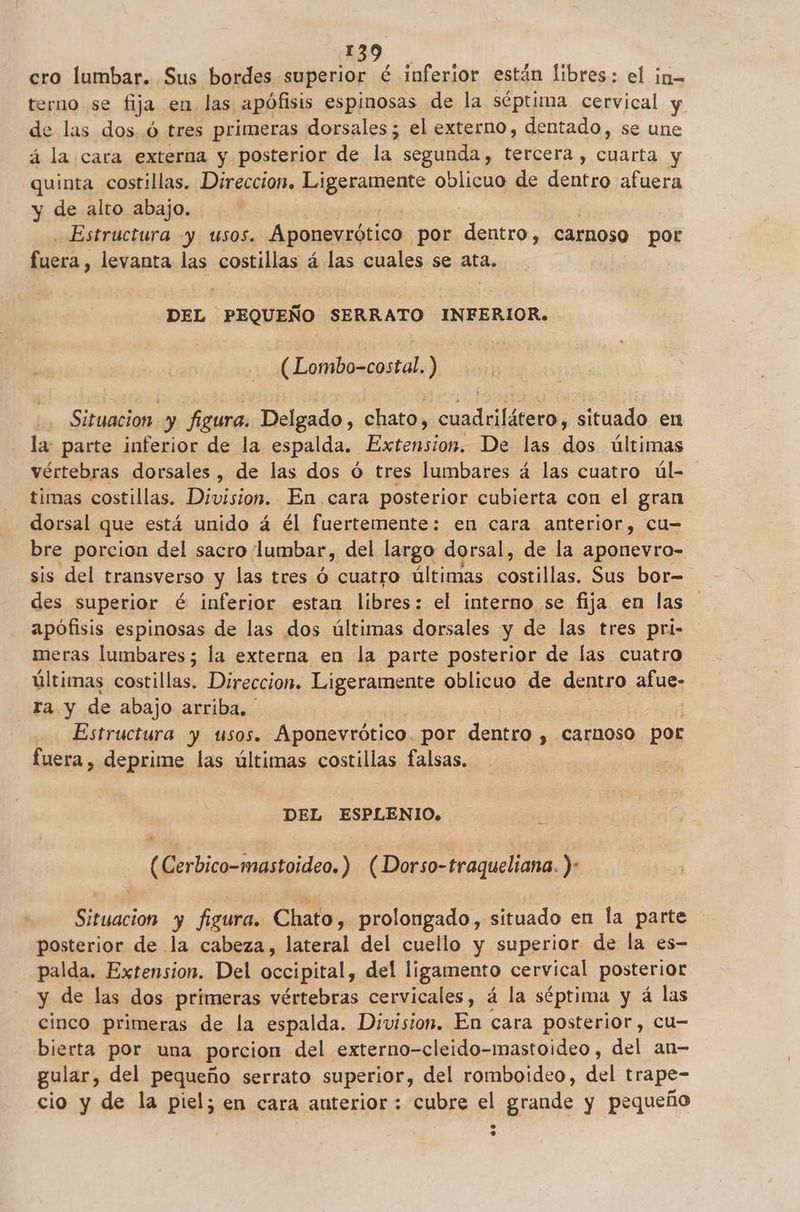 cro lumbar. Sus bordes superior é inferior están libres: el in- terno se fija en las apófisis espinosas de la séptima cervical y de las dos ó tres primeras dorsales ; el externo, dentado, se une á la cara externa y posterior de la segunda, tercera , cuarta y quinta costillas. Direccion. Ligeramente oblicuo de dentro afuera y de alto abajo. Estructura y usos. Aponevrótico por dentro, carnoso por fuera , levanta las costillas á las cuales se ata. DEL PEQUEÑO SERRATO INFERIOR. (Lombo-costal. ) Situacion y figura. Delgado, chato, cuadrilátero, situado en la: parte inferior de la espalda. Extension. De las dos últimas vértebras dorsales, de las dos ó tres lumbares á las cuatro úl- timas costillas. Division. En. cara posterior cubierta con el gran dorsal que está unido á él fuertemente: en cara anterior, cu- bre porcion del sacro. lumbar, del largo dorsal, de la aponevro- sis del transverso y las tres ó cuatro últimas as Sus bor= des superior é inferior estan libres : el interno se fija en las apófisis espinosas de las dos últimas dorsales y de las tres pri- meras lumbares; la externa en la parte posterior de las cuatro últimas costillas. Direccion. Ligeramente oblicuo de dentro afue- ra y de abajo arriba. Estructura y usos. Aponevrótico. por dentro , carnoso por fuera, deprime las últimas costillas falsas. DEL ESPLENIO. (Cerbico-mastoideo. ) ( Dorso-traqueliana. )- Situacion y figura. Chato, prolongado, situado en la parte posterior de la cabeza, lateral del cuello y superior de la es- palda. Extension. Del occipital, del ligamento cervical posterior y de las dos primeras vértebras cervicales, á la séptima y á las cinco primeras de la espalda. Division. En cara posterior, cu- bierta por una porcion del externo-cleido-mastoideo, del an- gular, del pequeño serrato superior, del romboideo, del trape- cio y de la piel; en cara auterior : cubre el grande y pequeño ps