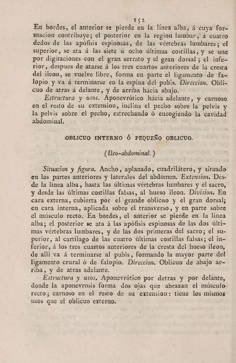 - AO En bordes, el anterior se pierde en la línea alba, á cuya: for- macion contribuye; el posterior en la region lumbar, 4 cuatro dedos de las apófisis espinosas, de las vértebras lumbares; el superior, se ata á las siete ú ocho últimas costillas, y se une por digitaciones con el gran serrato y el gran dorsal; el infe- rior, despues de atarse á los tres cuartos anteriores de la cresta del ileon, se vuelve libre, forma en parte el ligamento de fa= lopio y va á terminarse en la espina del pubis. Direccion. Obli- cuo de atras á delante, y de arriba hácia- abajo. | Estructura y usos. Aponevrótico hácia adelante, y carnoso en el resto de su extension, inclina el pecho sobre la pelvis y la pelvis sobre el pecho, estrechando ó encogiendo la cavidad abdominal, | GON ENT OLI 4 OBLICUO INTERNO Ó PEQUEÑO OBLICUO. (Hleo-abdominal. ) Situacion y figura. Ancho, aplanado, cuadrilátero, y situado en las partes anteriores y laterales del abdomen. Extension. Des- de la línea alba, hasta las últimas vértebras lumbares y el sacro, y desde las últimas costillas falsas, al hueso ileon. Division. En cara externa, cubierta por el grande oblicuo y el gran dorsal; en cara interna, aplicada sobre el transverso, y en parte sobre el músculo recto. En bordes, el anterior se pierde en la línea alba; el posterior se ata á las apófisis espinosas de las dos últi mas vértebras lumbares, y de las dos primeras del sacro; el su- perior, al cartílago de las cuatro últimas costillas falsas; el in- ferior, á los tres cuartos anteriores de la cresta del hueso ileon, de alli va á terminarse al pubis, formando la mayor parte del ligamento crural ó de falopio. Direccion. Oblicuo de abajo ar- riba, y de atras adelante. Estructura y usos. Aponevrótico por detras y por delante, dende la aponevrosis forma dos ojas que abrazan el músculo. recto; carnoso en el resto de su extension: tiene los mismos usos que el oblicuo externo.