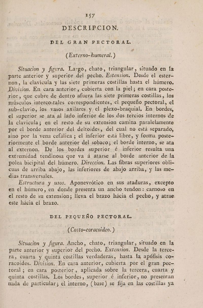 e 14 DESCRIPCION. DEL GRAN ao 30 (Externo-humeral. ) Situacion y figura. Largo, chato, triangular, situado en la parte anterior y superior del pecho. Estension. Desde el ester— non, la clavícula y las siete primeras costillas hasta el húmero. a En cara anterior, cubierta con la piel; en cara poste- rior, que cubre de dentro afuera las siete primeras costillas, los músculos intercostales correspondientes, el pequeño pectoral, el sub-clavio, los vasos axilares y. el plexo-braquial. En bordes, el superior se ata al lado inferior de los dos tercios internos de la clavícula; en el resto de su extension camina paralelamente _por el borde anterior del deltoides, del cual no está separado, sino por la vena cefálica ; el inferior está libre, y forma poste- riormente el borde anterior del sobaco; el borde interno, se ata al externon. De los bordes superior é.- inferior resulta una extremidad tendinosa que va á atarse al borde anterior de la polea bicipital del húmero. Direccion. Las fibras superiores obli- cuas de arriba abajo, las inferiores de jos arríba, y las me- dias transversales. | Estructura y usos. Aponevrótico en sus ataduras, excepto en el húmero, en donde presenta un ancho tendon: carnoso en el resto de su extension; lleya el brazo hácia el pecho, y atrae este hácia el brazo. DEL PEQUEÑO PECTORAL. (Costo-coracoideo. ) Situación y figura. Ancho, chato, triangular, situado en la parte anterior y superior del pecho. Extension. Desde la terce- ra, cuarta y quinta costillas verdaderas, basta la apófisis co- racoides. Division. En cara anterior, cubierta por el gran pec- toral ; en cara posterior, aplicada sobre la tercera, cuarta y quinta costillas. Los bordes, superior é inferior, no presentan nada de particular; el interno, (base) se fija en las costillas ya