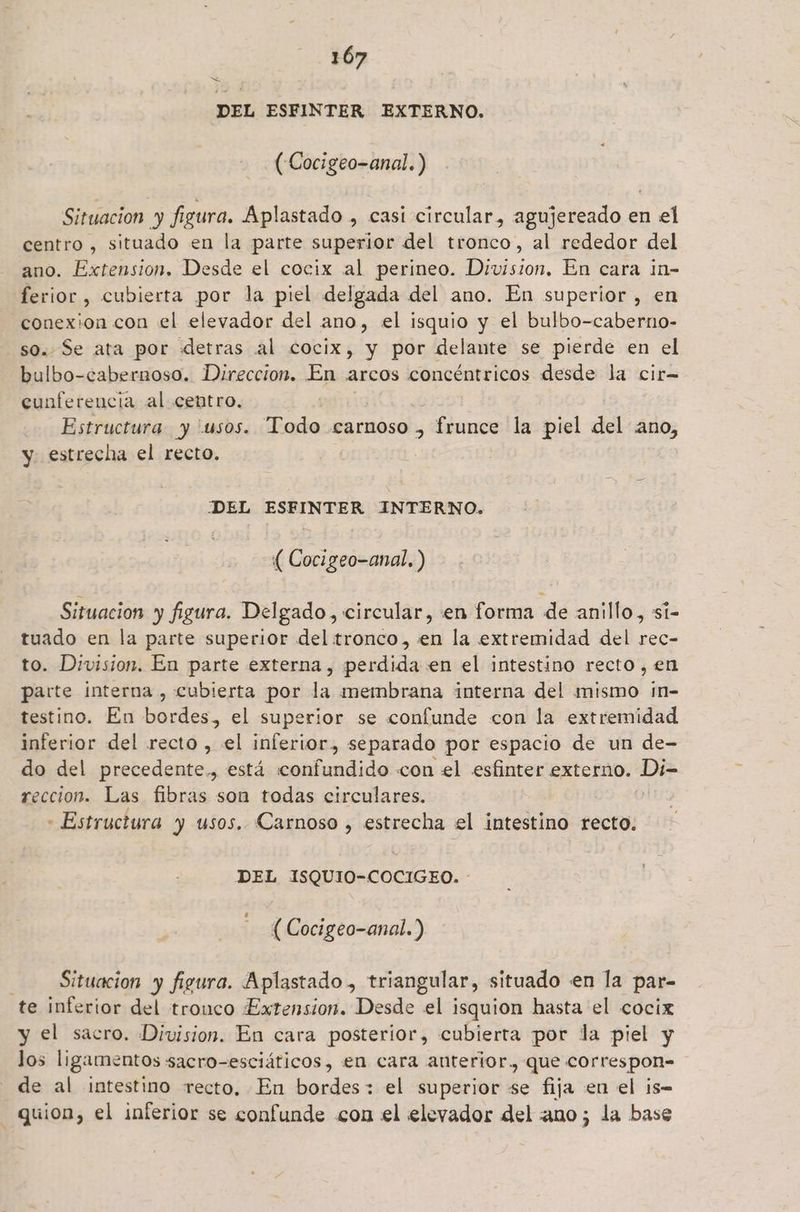 > DEL ESFINTER EXTERNO. (Cocigeo-anal.) Situacion y figura. Aplastado , casi circular, agujereado en el centro , situado en la parte superior del tronco, al rededor del ano. Extension. Desde el cocix al perineo. Division. En cara in- ferior , cubierta por la piel delgada del ano. En superior, en conexion con el elevador del ano, el isquio y el bulbo-caberno- so. Se ata por detras al cocix, y por delante se pierde en el bulbo-cabernoso. Direccion. En arcos concéntricos desde la cir= eunfereucia al centro. Estructura y usos. Todo carnoso , frunce la piel del ano, y estrecha el recto. DEL ESFINTER INTERNO. ( Cocigeo-anal, ) Situacion y figura. Delgado, circular, en forma de anillo, sí- tuado en la parte superior del tronco, en la extremidad del rec- to. Division. En parte externa, perdida en el intestino recto, en parte interna , cubierta por la membrana interna del mismo ím- testino. En bordes, el superior se confunde con la extremidad inferior del recto , el inferior, separado por espacio de un de- do del precedente., está «confundido con el esfinter externo. Di- reccion. Las fibras son todas circulares. - Estructura y usos. Carnoso , estrecha el intestino recto. DEL ISQUIO-COCIGEO. (Cocigeo-anal.”) Situacion y figura. Aplastado,, triangular, situado en la par- te inferior del tronco Extension. Desde el isquion hasta el cocix y el sacro. Division. En cara posterior, cubierta por la piel y los ligamentos sacro-esciáticos, en cara anterior. que correspon= de al intestino recto, En bordes: el superior se fija en el is- -quion, el inferior se confunde con el elevador del ano; la base