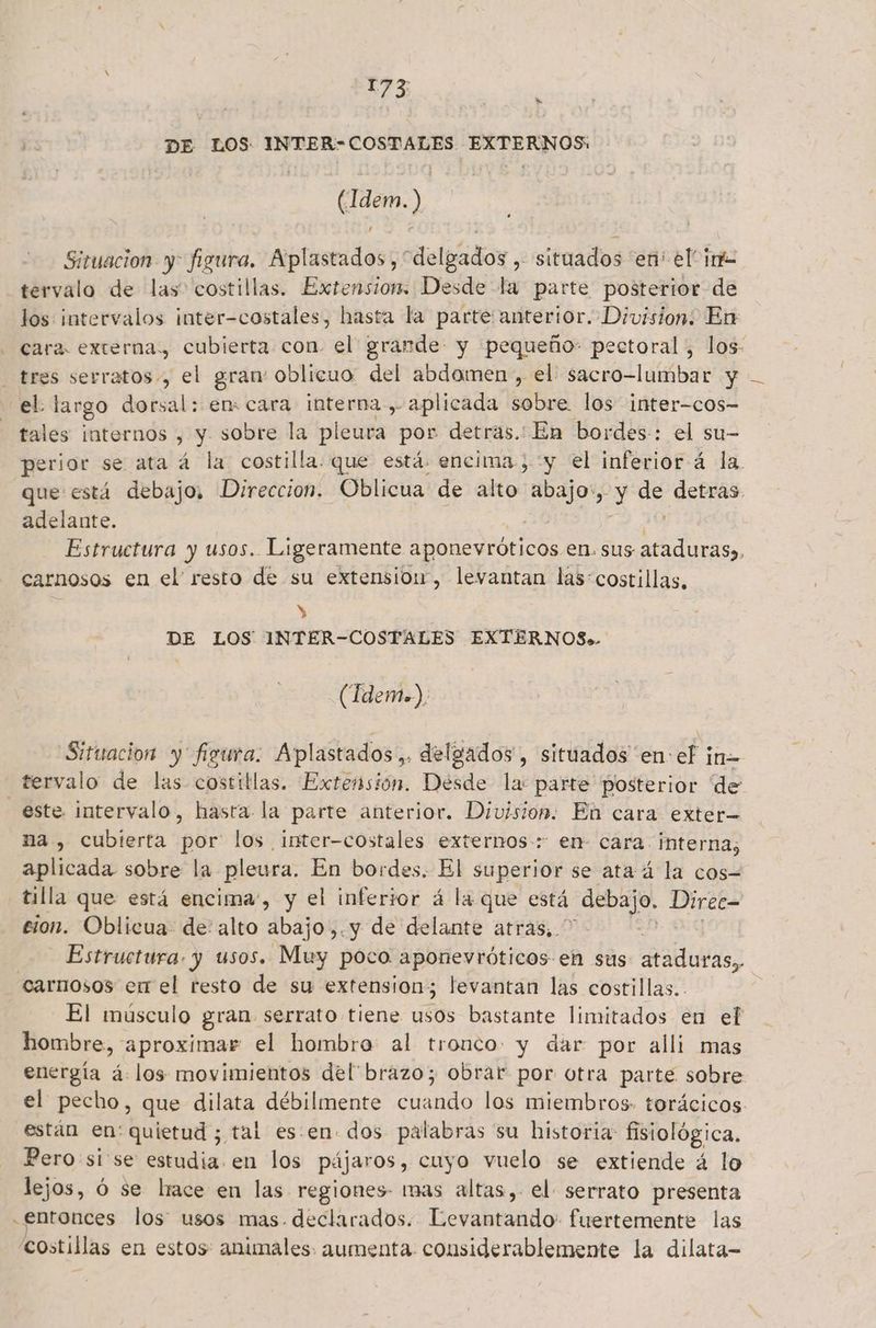 LS DE LOS INTER-COSTALES EXTERNOS: (Aden A Situacion y figura. erptinidanós delgádor situados “ens el ina tervalo de las costillas. Extension. Desde la parte posterior de los intervalos inter-costales, hasta la parte anterior. Division: En: cara. externa., cubierta con el grande: y pequeño: pectoral, los - tres serratos-, el gran oblicuo del abdomen, el sacro-lumbar y el largo dorsal: en: cara interna-, aplicada EN los inter-cos- - tales internos , y sobre la pleura por detras. En bordes-: el su- perior se ata á la costilla. que está. encima, y el inferior á la. que está debajo, Direccion. -Oblicua: de alto eo e a es detras. adelante. Estructura y usos. Ligeramente aponevróticos en. sus A carnosos en el' resto de su extension, levantan las:costillas,  y DE LOS INTER-COSTALES EXTERNOS.. (Tdemo), Situacion y figura: Aplastados,. delgados, situados en el in= tervalo de las costiblas. Extensión. Desde la: parte posterior de este intervalo, hasta la parte anterior. Division. Eh cara exter= na , cubierta por los inter-costales externos: en- cara interna, aplicada sobre la pleura. En bordes. El superior se ata á la cos= tilla que está encima, y el inferior á la que está Ca ia eion. Oblicua- de: alto abajo ,.y de delante atras, | Estructura. y usos. Muy poco aponevróticos en sus ui carnosos emel resto de su extension; levantan las costillas. . El músculo gran serrato tiene ¡ó0s bastante limitados en el hombre, aproximar el hombro: al tronco y dar por alli mas energía á: los movimientos del brazo; obrar por otra parte sobre el pecho, que dilata débilmente cuando los miembros. torácicos. están en: quietud ; tal es:en. dos palabras su historia: fisiológica, Pero si se estudia en los pájaros, cuyo vuelo se extiende á lo lejos, ó se hace en las regiones- mas altas,. el serrato presenta entonces los usos mas. declarados. Levantando' fuertemente las ¿costillas en estos: animales aumenta considerablemente la dilata-
