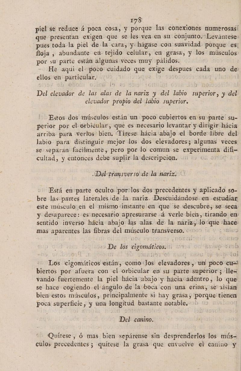 piel se reduce 4 poca cosa, y porque las conexiones numerosas! que presentan exigen que se les vea en su conjunto. Levántese: pues toda-la piel de la cara, y: hágase con suavidad. porque es: floja , abundante en- tejido celular, en grasa, y los músculos: por su parte están algunas veces muy pálidos. | He aqui el. poco cuidado Les ad despues ER uno de ellos en Pp Del a de las alas de la nariz y del Jabió sUpiMoR, y del elevador propio del labio superior. Estos dos músculos están un poco cubiertos en su parte su- _perior por el-órbicular, que es necesario levantar y dirigir hácia arriba. para verlos bien. Tírese hácia abajo el borde libre del labio para distinguir mejor los dos elevadores; algunas veces se separan facilmente, pero por lo comun se experimenta difi- cultad, y entonces debe suplir la descripcion. p -¡Del«transverso' de la mariz. Está en'parte oculto porolos dos precedentes y aplicado so- bre las partes laterales ide la nariz. Descuidándose. en estudiar este músculo en el mismo instante en que se descubre, se seca y desaparece : es necesario apresurarse 4 verle bien, tirando en sentido inverso hácia abajo das «alas. de la: nariz, lo: nue era ¿mas aparentes las fibras del ea transverso. « 1419 120 De dos dl gomáticos Tios ¡cigomáticos estas como: dios! elevadores: , Un poco an biertos por afuera con el orbicular en su parte superior; lle= vando fuertemente la piel hácia “abajo y hácia“ adentro, lo que se hace cogiendo el ángulo de la boca con una erina, se 2islan bien estos músculos, principalmente si hay grasa, poa tienen poca Eo o y una pio bastante notabley.20 09 0 Del Canino. f Quítese , Ó mas bien sepárense sin desprenderlos los mús- culos precedentes ; quítese la grasa que envuelve el canino y