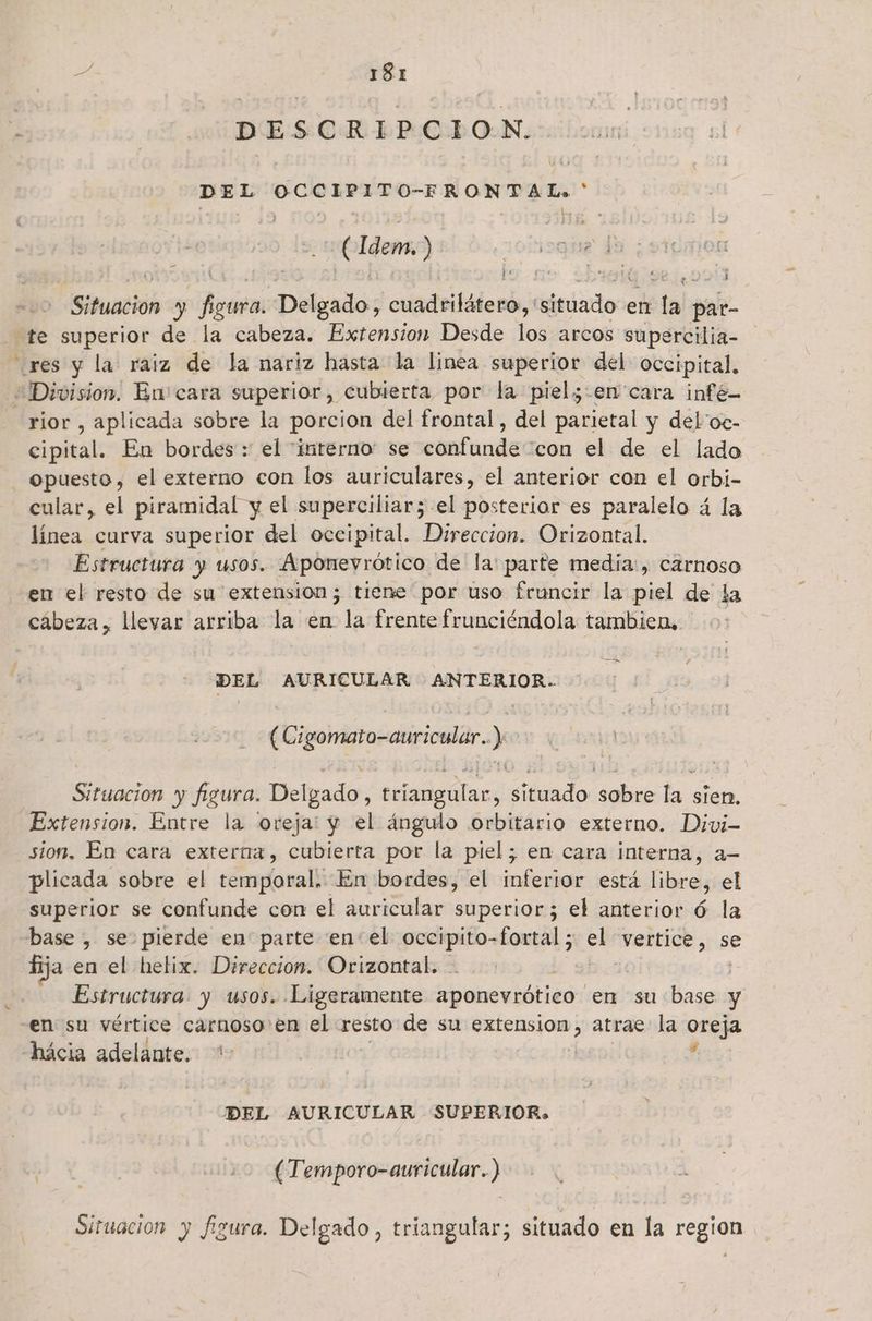 DESCRIPCION: cu DEL FOORLTDO-T7R ORD! (idem) , 4 E 2 po boro ¿hat e 90 Situntióh y E Delgado, cuadrilátero, situado en tal: par- pS rior , aplicada sobre la porcion del frontal, del parietal y del'oc- cipital. En bordes : el “interno: se confunde “con el de el lado opuesto, el externo con los auriculares, el anterior con el orbi- cular, el piramidal y el superciliar; el posterior es paralelo á la línea curva superior del occipital. Direccion. Orizontal. Estructura y usos. Aponevrótico de la: parte media, carnoso en el resto de su extension; tiene por uso fruncir la piel de la cábeza, llevar arriba la en la frente frunciéndola tambien. > DEL AURICULAR ANTERIOR. (Cigomato-auricular..), Situacion y figura. Delgado, triangular, situado sobre la sien, Extension. Entre la oreja: y el ángulo .orbitario externo. Divi- sion. En cara externa, cubierta por la piel; en cara interna, a- plicada sobre el córmlonalK En bordes, el inferior está libre, el superior se confunde con el auricular superior; el anterior ó la fija en el hetix. Direccion. Orizontal. | Estructura. y usos. Ligeramente aponevrótico en su base y en su vértice carnoso en el resto de su extension, atrae la oreja hácia adelante. * | , DEL AURICULAR SUPERIOR. PR > (Temporo-auricular.) Situación y figura. Delgado, triangular; situado en la region