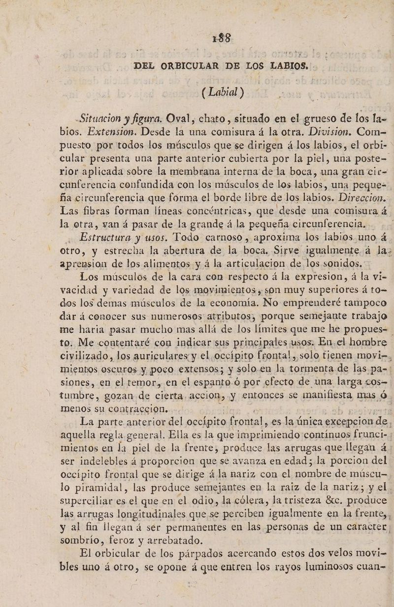 / y. hs DEL ORBICULAR DE LOS LABIOS, '. (Labial ) -Situacion y figura. Oval, chato, situado en el grueso de los la= bios. Extension. Desde la una comisura á la otra. Division. Com-= puesto por todos los músculos que se dirigen á los labios, el orbi-' cular presenta una parte anterior cubierta por la piel, una poste=. rior aplicada sobre la membrana interna de la boca, una gran cir- eunferencia confundida con los músculos de los labios, una peque=. ña circunferencia que forma el borde libre de los labios. Direccion. Las fibras forman líneas concéntricas, que desde una comisura á la otra, van á pasar de la grande á la pequeña circunferencia... ] Eo y usos. Todo carnoso , aproxima los labios uno á otro, y estrecha la abertura de la boca. Sirve igualmente. á las aprension de los alimentos y á la articulacion de los sonidos, Los músculos de la cara con respecto á la expresion, á la vi- vacidad y variedad de los movimientos, son muy superiores á to dos los demas músculos de la economía. No emprenderé tampoco dar á conocer sus numerosos atributos, porque semejante trabajo me haria pasar mucho mas allá de los límites que me he propues= to. Me contentaré cou indicar sus principales. usos. En.el hombre civilizado, los aurigulares y el. occípito frontal, solo tienen movi=, mientos oscuros y poco extensos; y solo.en la os de las pa-: siones, en el temor, en el espanto. ó por efecto de una larga LOs tumbre, gozan de cierta, acción, y entonces se manifiesta mas Ó menos su contraccion.. y La parte anterior del occípito frontal, es la única excepcion a, aquell a regla general. Ella es la que opautigida a] continuos frunci- ; mientos en la piel de la frente, produce las arrugas que llegan á. ser indelebles á proporcion que se avanza en edad; la porcion del occipito frontal que se dirige á la nariz con el nombre de múscu= lo piramidal, las produce semejantes en la raiz de la nariz; y el. superciliar es el que en el odio, la cólera, la tristeza Sc. proce las arrugas longitudinales que se perciben igualmente en la frente,, y al fia llegan á ser permanentes en las personas de un caracter sombrío, feroz y arrebatado. El eo de los párpados acercando estos dos velos movi= bles uno á otro, se opone á que entren los rayos luminosos cuan=