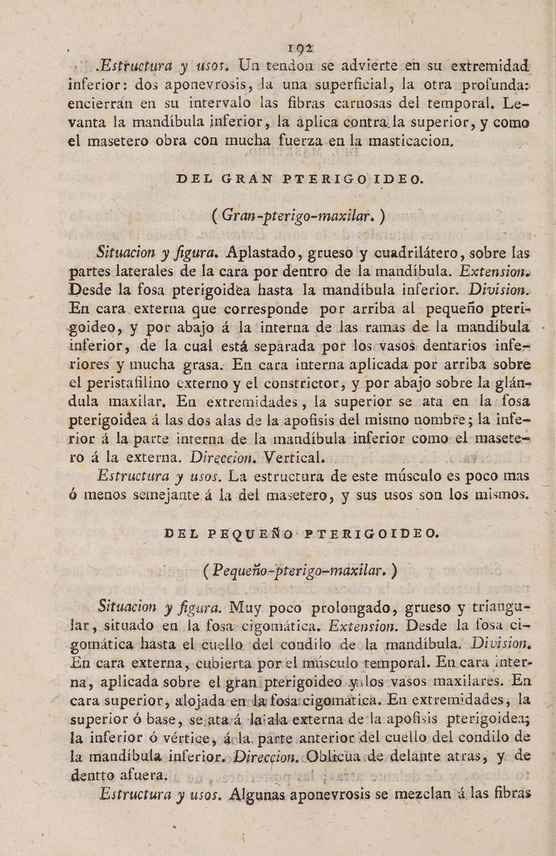 : 19% Estructura y usos. Un tendon se advierte en su extremidad: Eeferiar dos aponevrosis, la una superficial, la otra profunda: encierran en su intervalo las fibras carnosas del temporal, Le- vanta la mandíbula inferior, la aplica contra la superior, y como el masetero obra con Gba fuerza en la masticacion. DEL GRAN PTERIGOIDEO. De Gran<pterigo-maxilar ) iicvion 94 igura. Aplastado, grueso y cuadrilátero, sobre las partes laterales de la cara por dentro de la mandíbula. Esrembióna Desde la fosa pterigoidea hasta la mandíbula inferior. Division. En cara externa que corresponde por arriba al pequeño pteri- goideo, y por abajo á la interna de las ramas de la mandíbula interior, de la cual está separada por los.vasos dentarios infe= riores y mucha grasa. En cara interna aplicada por arriba sobre el peristafilino externo y el constrictor, y por abajo sobre la glán- dula maxilar. En extremidades, la superior se ata en la fosa pterigoidea á las dos alas de la apofisis del mismo nombre; la infe- rior á la parte interna de la mandíbula inferior como el masete= ro á la externa. Direccion. Vertical. sy Estructura y usos. La estructura de este músculo es poco mas Ó menos semejante á la del masetero, y sus usos son los mismos. DEL PEQUEÑO PTERIGOIDEO. ( Pequeño-=pteri EPA INE: ) Situacion y figura. Muy poco prolongado, grueso y triangu- Jar, situado en la fosa: cigomática. Extension. Desde la fosa Ci= -gomática hasta el-cuello «del condilo de la mandibula. Division, En cara externa, cubierta porel músculo temporal. En cara inter- na, aplicada sobe el gran pterigoideo y: los vasos maxilares. En cara superior, alojada-en-la fosarcigomática. En extremidades, la superior ó base, se:atará lajala externa de la apofisis pterigoidea; la inferior ó vértice, ávla. parte anterior del cuello del condilo de la mandíbula inferior. ció in de delante atras, y. e dentto afuera. des sul dós Estructura y usos. Algunas aponevrosis se : mezclan: á las fibras