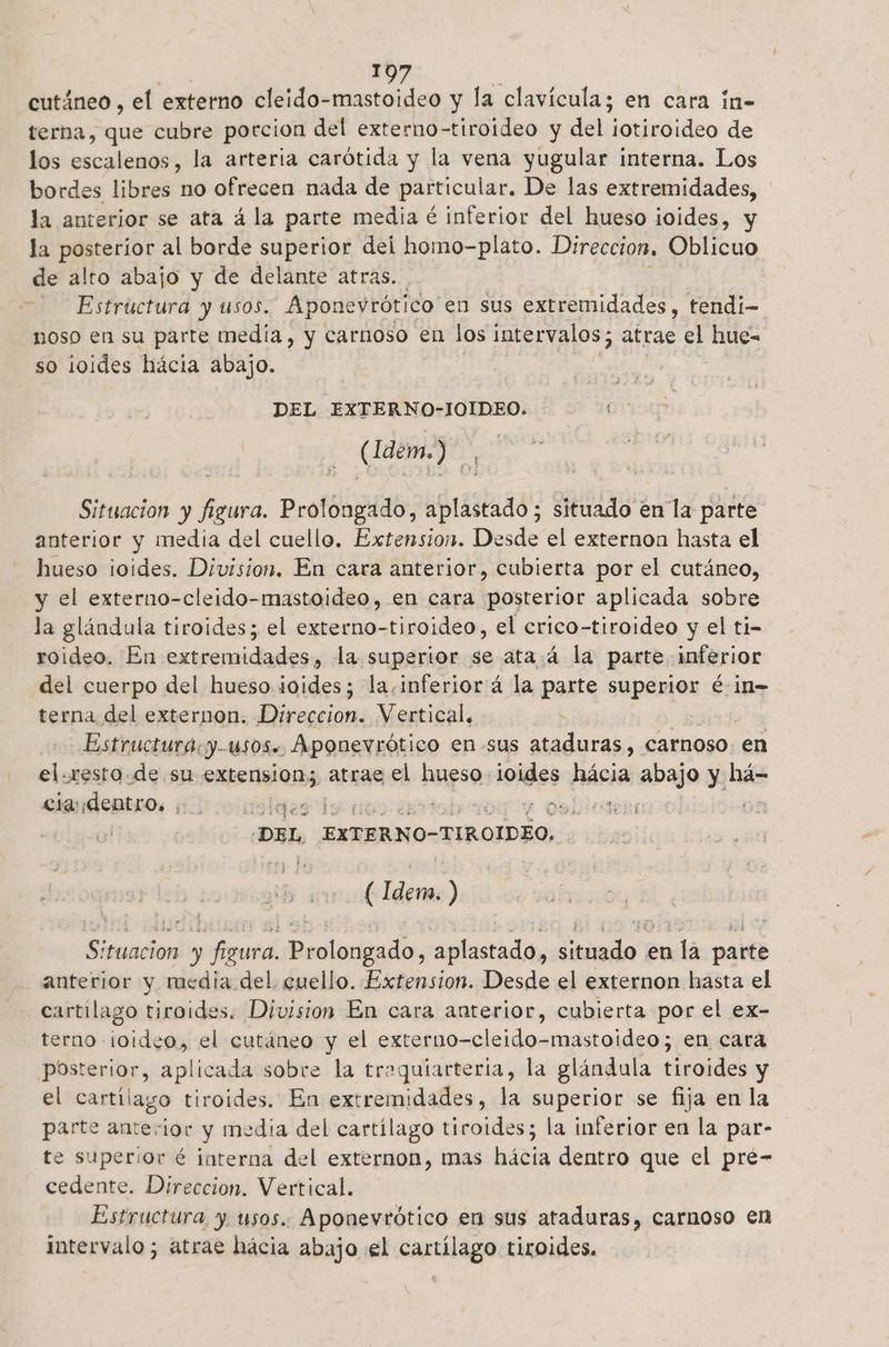 sd 2 cutáneo , el externo cleido-mastoideo y la clavícula; en cara in- terna, que cubre porcion del externo-tiroideo y del ¡otiroideo de los escalenos, la arteria carótida y la vena yugular interna. Los bordes libres no ofrecen nada de particular. De las extremidades, la anterior se ata á la parte media é inferior del hueso ¡oides, y la posterior al borde superior dei homo-plato. Direccion, Oblicuo de alto abajo y de delante atras. Estructura y usos. Aponevrótico en sus extremidades, tendi- noso en su parte media, y carnoso en los intervalos; atrae el hue- so ¡oides hácia abajo. DEL EXTERNO-IOIDEO. ia ) Situacion y 10 Prolongado, aplastado ; situado en la parte anterior y media del cuello. Extension. Desde el externon hasta el hueso ¡oides. Division. En cara anterior, cubierta por el cutáneo, y el externo-cleido-mastoideo, en cara posterior aplicada sobre la glándula tiroides; el externo-tiroideo, el crico-tiroideo y el ti- roideo. En extremidades, la superior se ata á la parte inferior del cuerpo del hueso joides; la.inferiorá la parte a. é-in=- terna del externon. Direcsian: Vertical, Estructura.y-usos.. Aponevrótico en-sus ataduras, carnoso. en el.resto.de su extsisiona, atras el hueso ioides hácia abajo y há- ciardentros 1.0 o uolges ) ' a osblos ¡ DEL, EXTERNO-TIROIDEO, $ ( Idem. ) Situacion y figura. Prolongado, aplastado, situado en la parte anterior y media del. cuello. Extension. Desde el externon hasta el cartilago tiroides. Division En cara anterior, cubierta por el ex- terno i0ideo, el cutáneo y el externo-cleido-mastoideo; en cara posterior, aplicada sobre la trequiarteria, la glándula tiroides y el cartílago tiroides. En extremidades, la superior se fija en la parte anterior y media del cartílago tiroides; la inferior en la par- te superior é interna del externon, mas hácia dentro que el pré- cedente. Direccion. Vertical. Estructura, y. usos. Aponevrótico en sus ataduras, carnoso en intervalo; atrae hácia abajo «el cartílago tiroides.