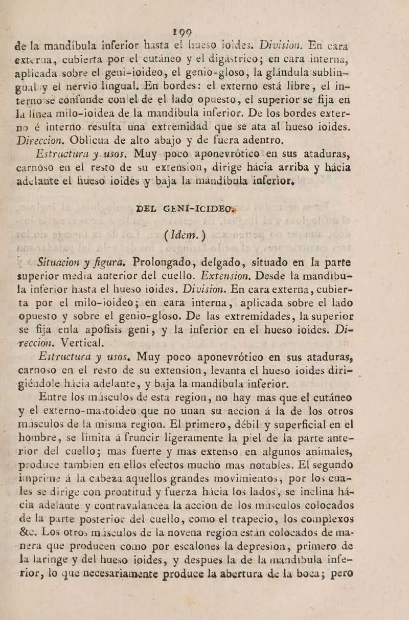 de la mandíbula inferior hasta el hueso ¡oides. Division. En cara externa, cubierta por el cutáneo y el digástrico; en cara interna, aplicada sobre el geui-joideo, el genio-gloso, la glándula sublin- gual y el nervio lingual. En bordes: el externo está libre, el in- terno se confunde con el de el lado opuesto, el superior se fija en la línea milo-ioidea de la mandíbula inferior. De los bordes exter- no é interno. resulta una extremidad que se ata al hueso ¡oides. Direccion. Oblicua de alto abajo y de fuera adentro, Estructura y.usos. Muy poco aponevrótico en sus ataduras, carnoso en el resto de su extension, dirige hácia arriba y hácia adelante el hueso ¡oides «yy baja la mandibula inferior. DEL GENI-ICIDEO% (Idem. ) ¿Situacion y figura. Prolongado, delgado, situado en la parte superior media anterior del cuello. Extension, Desde la mandíbu- la inferior hasta el hueso toides. Diviston. En cara externa, cubier- ta por el milo-ioideo; en cara interna, aplicada sobre el lado opuesto y sobre el genio-gloso. De las extremidades, la superior. se fija enla apofisis geni, y la inferior en el hueso ¡oides. Di- reccion. Vertical. | Estructura y usos. Muy poco aponevrótico en sus ataduras, carnoso en el resto de su extension, levanta el hueso ¡oides díri= giéadole hácia adelante, y baja la mandíbula inferior. Entre los másculos de esta region, no hay mas que el cutáneo y el externo-mastoideo que no unan su accion á la de los otros masculos de la misma region. El primero, débil y superficial en el hombre, se limita á fruncir ligeramente la piel de la parte ante- rior del cuello; mas fuerte y mas extenso en algunos animales, produce tambien en ellos efectos mucho mas notables. El segundo imprime á la cabeza aquellos grandes movimientos, por los cua- les se dirige con prontitud y fuerza hácia los lados, se inclina há- cia adelaute y contravalancea la accion de los músculos colocados de la parte posterior del cuello, como el trapecio, los complexos Ste. Los otros músculos de la novena region están colocados de ma- nera que producen como por escalones la depresion, primero de la laringe y del hueso ¡oides, y despues la de la mandibula infe- rior, lo que necesariamente produce la abertura de la boca; pero
