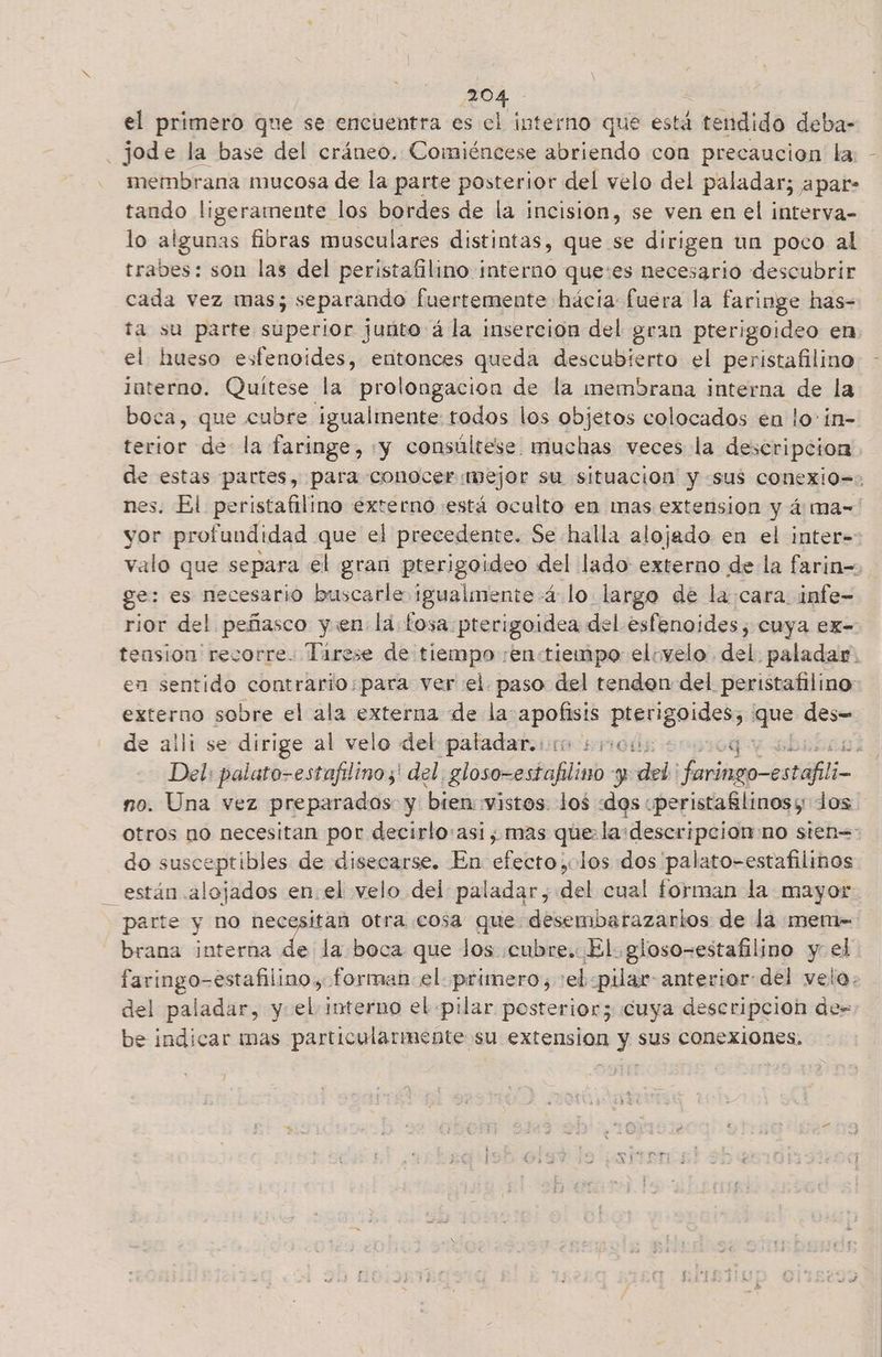 el primero que se encuentra es el interno que está í tendido deba- _jode la base del cráneo. Comiéncese abriendo con precaución la: membrana mucosa de la parte posterior del velo del paladar; apar- tando ligeramente los bordes de la incision, se ven en el interva- lo algunas fibras musculares distintas, que se dirigen un poco al trabes: son las del peristafilino interno que:es necesario descubrir cada vez mas; separando fuertemente hácia fuera la faringe has- ta su parte superior junto á la inserción del gran pterigoideo en el hueso esfenoides, entonces queda descubierto el peristafilino interno. Quítese la prolongación de la ¡membrana interna de la boca, que cubre igualmente: todos los objetos colocados en lo-in- terior de la faringe, «y consúltese muchas veces la descripcion de estas partes, para conocer mejor su situación y «sus conexi0=: nes. El peristafilino externo está oculto en mas extension y á:ma= yor profundidad que el precedente. Se halla alojado en el inter= valo que separa el gran pterigoideo del lado externo de la farin=> ge: es necesario buscarle igualmente -á4 lo largo de la:cara. infe- rior del peñasco yen lá fosa pterigoidea del esfenoides, cuya ex- tension recorre. Tirese de tiempo entiempo elovelo del. paladar. en sentido contrario:para ver el. paso del tenden del peristafilino- externo sobre el ala externa de la apofisis paa que des= de alli se dirige al velo del patadar.oro snmoós eoovoq ys Del: palato-estafilino;' del. gloso-estafilino y del ferina esti no. Una vez preparados y bien. vistos. los «dos «peristafilinosy los. otros no necesitan por decirlo:asi; mas que:la:deseripcion no sten= do susceptibles de disecarse. En efecto, los dos palato-estafilinos están alojados en. el velo del paladar, del cual forman la mayor. parte y no necesitan otra cosa que desembarazarios de la mem= brana interna dl la boca que Jos cubre. El. gloso-estafilino y el faringo-estafilino, forman el. primero, el pilar anterior:del velo. del paladar, y. el interno el pilar posterior; cuya descripcion de be indicar mas particularmente su extension y sus conexiones. iy E