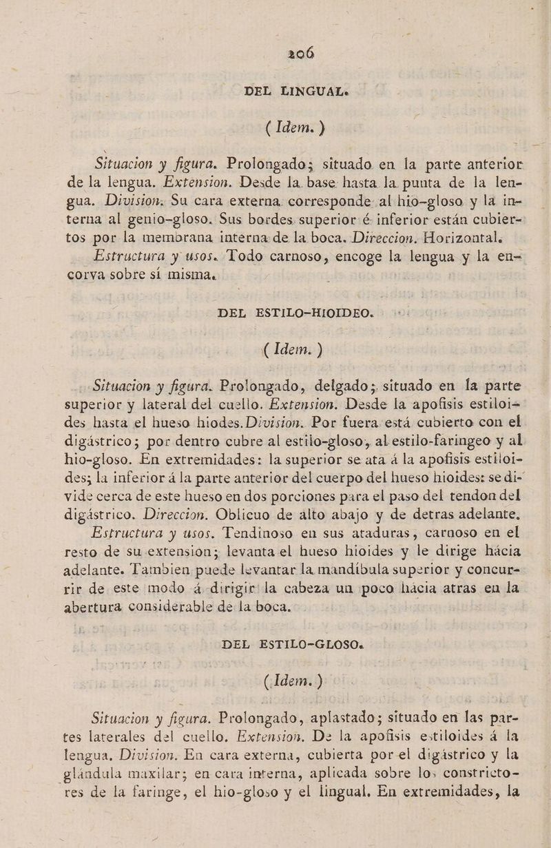 DEL LINGUAL. ( Idem. ) Situacion y figura. Prolongado; situado en la parte anterior de la lengua. Extension. Desde la. base hasta la punta de la len- gua. Division. Su cara externa. corresponde al hio-gloso y la ín- terna al genio-gloso. Sus bordes superior é inferior están cubíer- tos por la membrana interna de la boca. Direccion. Horizontal. Estructura y usos. Todo carnoso, encoge la Ags y la en- corva sobre sí misma. DEL ESTILO-HIOIDEO. ( Idem. >) Situacion y figura. Prolongado, delgado;. situado en la parte superior y lateral del cuello. Extension. Desde la apofisis estiloi= des hasta el hueso hiodes. Division. Por fuera. está cubierto con el digástrico; por dentro cubre al estilo-gloso, al estilo-faringeo y al hio-gloso. En extremidades: la superior se ata á la apofísis estilot- des; la inferior á la parte anterior del cuerpo del hueso hioides: se di- vide cerca de este hueso en dos porciones para el paso del tendon del digástrico. Direccion. Oblicuo de alto abajo y de detras adelante. Estructura y usos. Tendinoso en sus ataduras, carnoso en el resto de su extension; levanta el hueso hioides y le dirige hácia adelante. Tambien puede levantar la mandibula superior y concur= rir de este modo 4 dirigir la cabeza un poco hiácia atras en la abertura considerable de la boca. | | DEL ESTILO-GLOSO. (Idem. .) Situacion y figura. Prolongado, aplastado; situado en las par- tes laterales del cuello. Extension. Da la apofisis estiloides á la lengua. Division. En cara externa, cubierta porel digástrico y la lándula maxilar; en cara interna, aplicada sobre lo, constricto- res de la faringe, el hio-gloso y el lingual. En extremidades, la