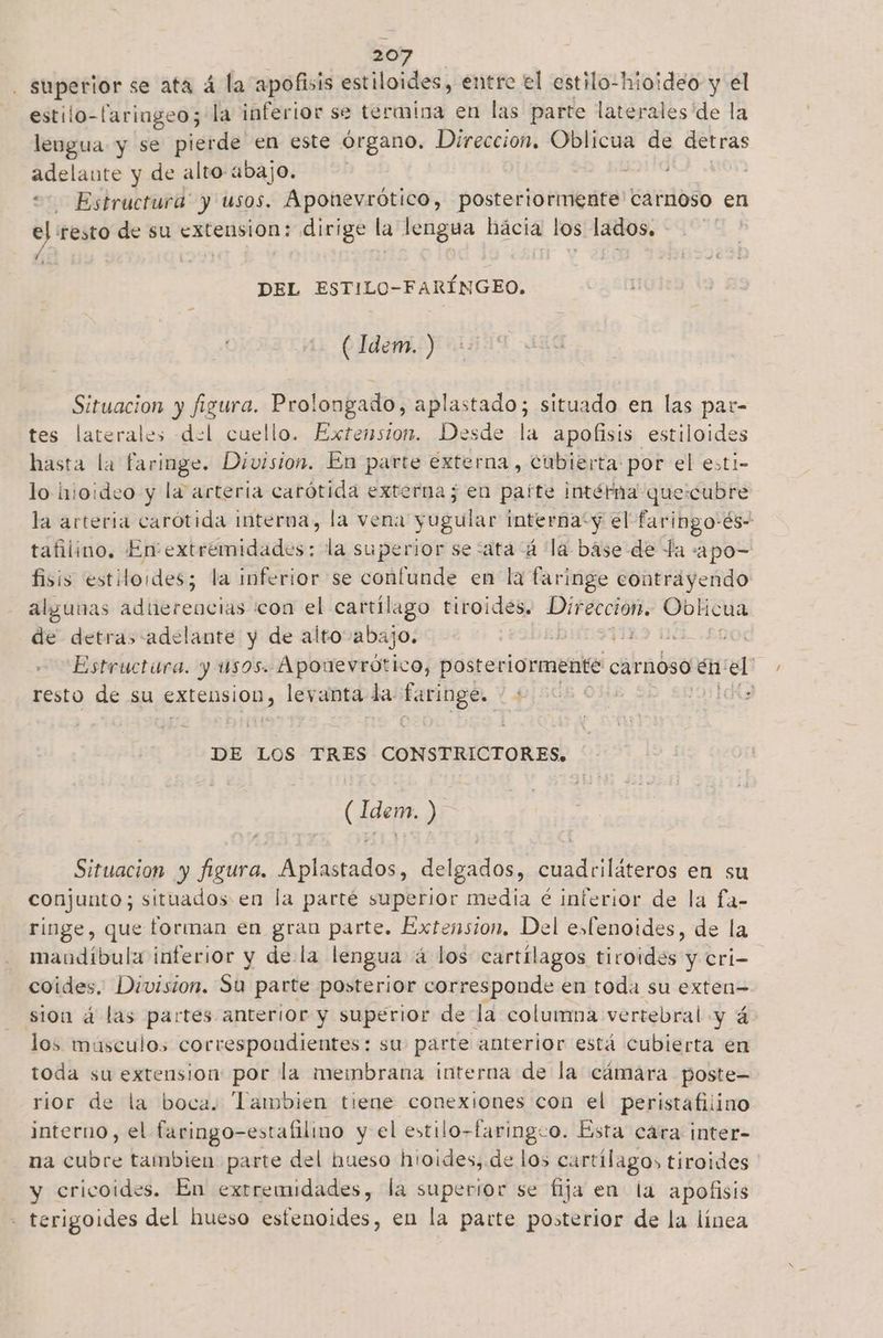 - superior se ata á la apofisis estiloides, entre el estilo-hioideo y el estilo-laringeo; la inferior se termina en las parte laterales 'de la lengua y se pierde en este órgano. Direccion. Oblicua de detras adelaute y de alto abajo. 1011d << Estructura y usos. Aponevrótico, posteriormente carnoso en el resto de su extension: dirige la lengua hácia los lados. / ñ DEL ESTILO-FARÍNGEO. ( Idem. ) Situacion y figura. Prolongado, aplastado; situado en las par- tes laterales d=l cuello. Extension. Desde la apofisis estiloides hasta la faringe. Division. En parte externa, cubierta por el esti- lo hioideo y la arteria carótida externa; en paíte intérna que:cubre la arteria carótida interna, la vena yugular interna“ y el faringo-és- tafilino, En'extremidades: la superior se -ata á la báse de la “apo= fisis estiloides; la inferior se confunde en la faringe contrayendo algunas aduereacias con el cartilago tiroides. Dirección. Oblicua de detras adelante y de alto abajo. , y 1 .£20: Estructura. y usos. Aponevrótico, posteriormente carnoso en: el resto de su E tERIODS levanta: la. pea! 4 do DE LOS TRES CONSTRICTORES. Esad ): a y figura, latin. delgados, ea en su conjunto; situados en la parté superior media é inferior de la fa- ringe, que forman en grau parte. Extension. Del esfenoides, de la mandibula inferior y de la lengua á los cartílagos tiroides: y Cri- coides, Division, Su parte posterior corresponde en toda su exten= sion á las partes anterior y superior de la columna vertebral y 4 los músculos correspoudientes: su parte anterior está cubierta en toda su extension: por la membrana interna de la cámara poste- rior de la boca. Tambien tiene conexiones con el peristafilino interno, el faringo-estafilino y el estilo-faringeo. Esta cara inter- na cubre tambien parte del hueso hioides, de los cartílagos tiroides y cricoides. En extremidades, la superior se fija en la apofisis - terigoides del hueso estenoides, en la parte posterior de la línea