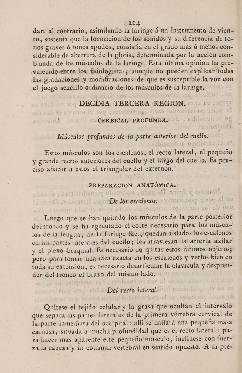 dart al contrario, asimilando la laringe 4 un Instrumento de vien= to, sostenia que la formacion de los sonidos y su diferencia de to- nos graves ó tonos agudos, consistia en el grado mas ó menos con- siderable de abertura de la glotis, determinada por la accion com- binada de los músculos de la laringe. Esta última opinion ha pre- -«valecido «entre: los: fisiologistas; aunque no pueden explicar 'todas Jas gradaciones y. modificaciones de que es susceptible la voz con el juego sencillo ordinario de los músculos: de la laringe. -DECIMA TERCERA REGION. + 12:00 | ' CERBICAL? PROFUNDA. ? Músculos profundos de la parte anterior del:cuello. Estos músculos son los escalenos, el recto lateral, el pequeño y grande rectos anteriores del cuello y:el largo del cuello. Es pre- ciso añadir á estos el triangular del externon, ' : PREPARACION ANATÓMICA. E “De los escalenos;'- Luego que se han quitado los músculos de la parte posterior del tronvo y se ha egecutado el corte necesario para los múscu- los de la lengua, de la firiuge 8tc., quedan aislados los escalenos en las partes laterales del cuello; los atraviesan la arteria axilar y el plexo -braquial. Es necesario no quitar estos últimos objetos; pero para tomar una idea exacta en los escalenos y verlos bien en toda su extension, es necesario desarticular la clavícula y despren- der del tronco el brazo del mismo lado. :-Del recto lateral. Quítese el tejido celular y la grasa que ocultan el intervalo que separa las partes laterales de la primera vértebra cervical de la parte inmediata del occipital: alli ¿e hallará una pequeña masa carnosa, situada á mucha profundidad que es el recto lateral: pa- ra hacer mas aparente este pequeño musculo, inclínese con fuer- za la cabeza y la columna vertebral en sentido opuesto. A la pre-