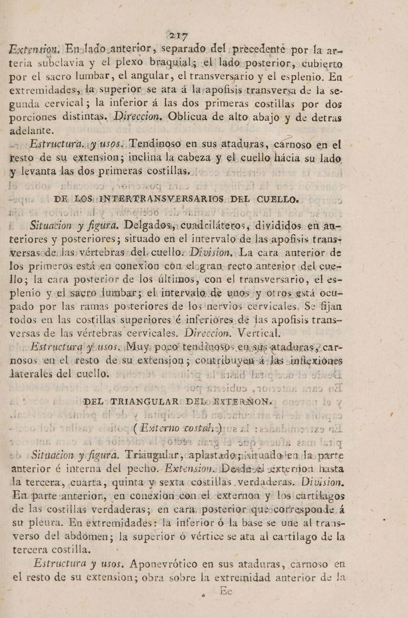 D17 Extension. Enslado. anterior, separado del precedente por la ar- teria subclavia y el plexo braquial; el! lado posterior, cubierto por el sacro lumbar, el angular, el transversario y el esplenio. En - extremidades, la, superior se ata á la/apofisis transversa de la se- gunda cervical; la inferior á las dos primeras costillas por dos porciones distintas. Direccion. Oblicua de alto abajo y de detras adelante. Estructura. y usos. Tendinoso en sus ataduras, cárnoso. en el resto de su extension; inclina la cabeza y el cuspapa hácia su lado, Y levanta das dos pb costillas: os ¿roy | “. e DE. LOS, INTERTRANSVERSARIOS DEL CUELLO. rl psi es a Z 300 D j Situation y figura. Deleadosy2oiniltiios: digidados, en An- teriores y posteriores; situado en el intervalo de las. apofisis trans- versasode. las, vértebras: del. cuello: Division.. La cara anterior de los primeros está en conexion cón-elogran recto anterior «del cue= llo; la cara posterior de los últimos, con el transversario, el es- plenio y el sacro lumbar; el intervalo. de wnos y otros está ocu= pado por las ramas posteriores de los nervios cervicales, Se fijan todos en las costillas superiores é inferiores. de las apofisis trans- versas de las vértebras cervicales. Direccion. Vertical. Estructura y usos. Muy. pogo tendinosos en.:sus ataduras y car- nosos «en el resto de su extension ; contribuyan 47 Jas inflexiones laterales del cuello. Y | . hs de: + Z 53€ 5 3 o $3 Tel ' 11309 1048 | DEL TRIANGULAR DEL: _EXTERSON» p ¿(Essterno costal y esl ceba! 4 7 É ys 5? Eb Sisddin y P am. s, Deióupadar, pin lia Ea páste anterior é interna del pecho.- Extension. Desde:el exterion hasta la tercera, cuarta, quinta y sexta costillas verdaderas. Division. En parte «anterior, en conexion con el externon y: los cartílagos de las costillas verdaderas; en cara. posterior quescorresponde 4 su pleura. En extremidades: la inferior Ó la base se une al trans- verso del abdomen; la superior ó vértice se ata al cartílago de la tercera costilla, Estructura y usos. Ses en sus ataduras, carnoso e pel resto de su extension; obra sobre la extremidad anterior de !: y +he