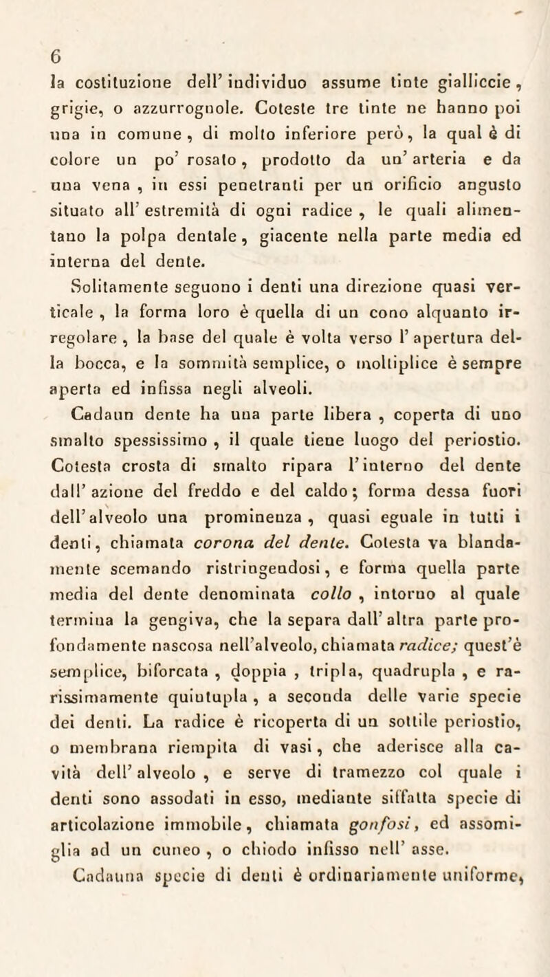 la costituzione dell’ individuo assume tinte gialliccie , grigie, o azzurrognole. Coleste tre tinte ne hanno poi una in comune, di molto inferiore però, la qual è di colore un po’ rosato, prodotto da un’ arteria e da una vena , in essi penetranti per un orificio angusto situato all’ estremità di ogni radice , le quali alimen¬ tano la polpa dentale, giacente nella parte media ed interna del dente. Solitamente seguono i denti una direzione quasi ver¬ ticale , la forma loro è quella di un cono alquanto ir¬ regolare , la base del quale è volta verso 1’ apertura del¬ la bocca, e la sommità semplice, o moltiplice è sempre aperta ed infissa negli alveoli. Cadaun dente ha una parte libera , coperta di uno smalto spessissimo , il quale tiene luogo del periostio. Cotesta crosta di smalto ripara l’interno del dente dall’azione del freddo e del caldo; forma dessa fuori dell’alveolo una promineuza , quasi eguale in tutti i denti, chiamata corona elei dente. Colesta va blanda¬ mente scemando ristringendosi, e forma quella parte media del dente denominata collo , intorno al quale termina la gengiva, che la separa dall’altra parte pro¬ fondamente nascosa nell’alveolo, chiamata radice; quest’è semplice, biforcata , doppia , tripla, quadrupla , e ra¬ rissimamente quintupla , a secouda delle varie specie dei denti. La radice è ricoperta di un sottile periostio, o membrana riempita di vasi, che aderisce alla ca¬ vità dell’ alveolo , e serve di tramezzo col quale i denti sono assodati in esso, mediante siffatta specie di articolazione immobile, chiamata gonfosi, ed assomi¬ glia od un cuneo , o chiodo infisso nell’ asse. Cadauna specie di denti è ordinariamente uniforme,