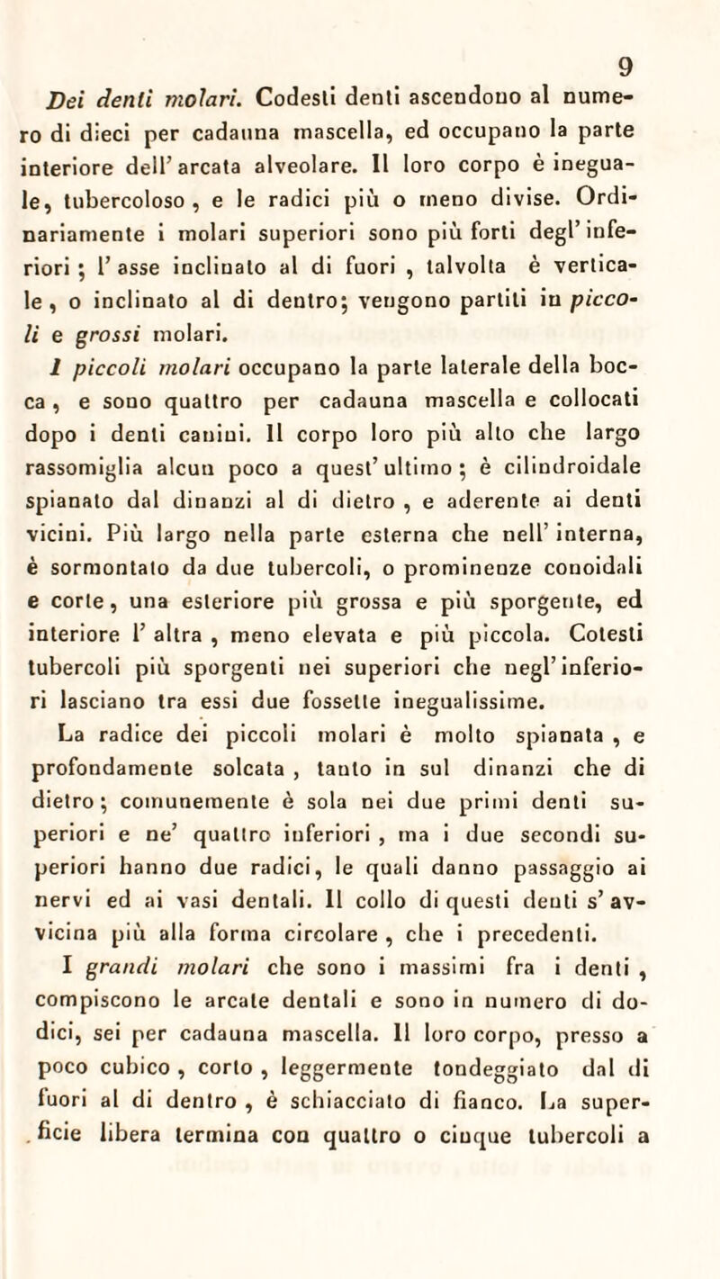 Dei denti molari. Codesti denti ascendono al nume¬ ro di dieci per cadauna mascella, ed occupano la parte interiore dell’arcata alveolare. Il loro corpo è inegua¬ le, tubercoloso, e le radici più o meno divise. Ordi¬ nariamente i molari superiori sono più forti degl’infe¬ riori; l’asse inclinato al di fuori , talvolta è vertica¬ le , o inclinato al di dentro; vengono partili in picco¬ li e grossi molari. 1 piccoli molari occupano la parte laterale della boc¬ ca , e sono quattro per cadauna mascella e collocati dopo i denti canini. Il corpo loro più alto che largo rassomiglia alcun poco a quest’ ultimo ; è cilindroidale spianato dal dinanzi al di dietro , e aderente ai denti vicini. Più largo nella parte esterna che nell’ interna, è sormontalo da due tubercoli, o prominenze conoidali e corte, una esteriore più grossa e più sporgente, ed interiore 1’ altra , meno elevata e più piccola. Cotesti tubercoli più sporgenti nei superiori che negl’inferio¬ ri lasciano tra essi due fossette inegualissime. La radice dei piccoli molari è molto spianata , e profondamente solcata , tanto in sul dinanzi che di dietro; comunemente è sola nei due primi denti su¬ periori e ne’ quattro inferiori , ma i due secondi su¬ periori hanno due radici, le quali danno passaggio ai nervi ed ai vasi dentali. Il collo di questi denti s’av¬ vicina più alla forma circolare , che i precedenti. I grandi molari che sono i massimi fra i denti , compiscono le arcate dentali e sono in numero di do¬ dici, sei per cadauna mascella. Il loro corpo, presso a poco cubico , corto , leggermente tondeggiato dal di fuori al di dentro , è schiacciato di fianco. La super- . ficie libera termina con quattro o ciuque tubercoli a