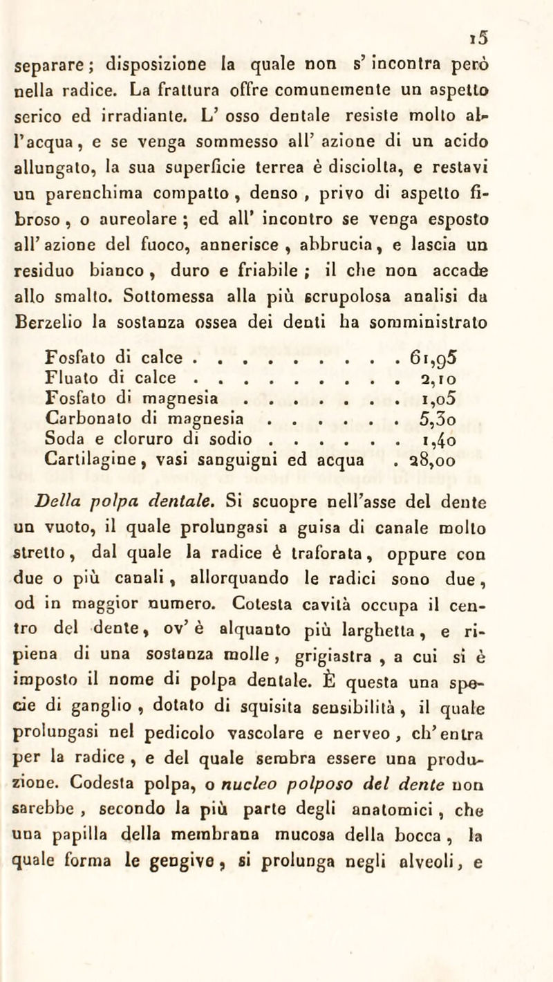 separare; disposizione la quale non s’incontra però nella radice. La frattura offre comunemente un aspetto serico ed irradiante. L’ osso dentale resiste mollo al¬ l’acqua, e se venga sommesso all’ azione di un acido allungato, la sua superficie terrea è disciolta, e restavi un parenchima compatto , denso , privo di aspetto fi¬ broso , o aureolare ; ed all’ incontro se venga esposto all’azione del fuoco, annerisce, abbrucia, e lascia un residuo bianco, duro e friabile ; il che non accade allo smalto. Sottomessa alla più scrupolosa analisi da Berzelio la sostanza ossea dei denti ha somministrato Fosfato di calce.6i,g5 Fluato di calce.2,io Fosfato di magnesia.i,o5 Carbonato di magnesia.5,3o Soda e cloruro di sodio.i,4o Cartilagine, vasi sanguigni ed acqua . 28,00 Della polpa dentale. Si scuopre nell’asse del dente un vuoto, il quale prolungasi a guisa di canale mollo stretto, dal quale la radice è traforata, oppure con due o più canali, allorquando le radici sono due, od in maggior numero. Cotesta cavità occupa il cen¬ tro del dente, ov’è alquanto più larghetta, e ri¬ piena di una sostanza molle, grigiastra , a cui si è imposto il nome di polpa dentale. È questa una spe¬ cie di ganglio , dotato di squisita sensibilità , il quale prolungasi nel pedicolo vascolare e nerveo , ch’entra per la radice , e del quale sembra essere una produ¬ zione. Codesta polpa, o nucleo polposo del dente non sarebbe , secondo la più parte degli anatomici, che una papilla della membrana mucosa della bocca , la quale forma le gengive, si prolunga negli alveoli, e