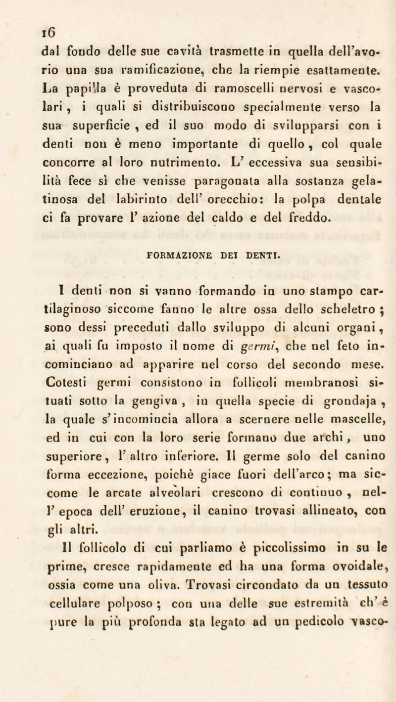 dal fondo delle sue cavità trasmette in quella dell'avo¬ rio una sua ramificazione, che la riempie esattamente. La papilla è proveduta di ramoscelli nervosi e vasco¬ lari , i quali si distribuiscono specialmente verso la sua superficie , ed il suo modo di svilupparsi con i denti non è meno importante di quello, col quale concorre al loro nutrimento. L’ eccessiva sua sensibi¬ lità fece sì che venisse paragonala alla sostanza gela¬ tinosa del labirinto dell’ orecchio: la polpa dentale ci fa provare 1’ azione del caldo e del freddo. FORMAZIONE DEI DENTI. I denti non si vanno formando in uno stampo car¬ tilaginoso siccome fanno le altre ossa dello scheletro ; sono dessi preceduti dallo sviluppo di alcuni organi, ai quali fu imposto il nome di germi, che uel feto in¬ cominciano ad apparire nel corso del secondo mese. Cotesti germi consistono in follicoli membranosi si¬ tuati sotto la gengiva , in quella specie di grondaja , la quale s’incomincia allora a scernere nelle mascelle, ed in cui con la loro serie formano due archi, uno superiore, l’altro inferiore. 11 germe solo del canino forma eccezione, poiché giace fuori dell’arco; ma sic¬ come le arcale alveolari crescono di contiuuo , nel- 1’ epoca dell’ eruzione, il canino trovasi allineato, con gli altri. II follicolo di cui parliamo è piccolissimo in su le prime, cresce rapidamente ed ha una forma ovoidale, ossia come una oliva. Trovasi circondato da un tessuto cellulare polposo ; con una delle sue estremità eh’ è pure la più profonda sta legato ad un pedicolo vasco-