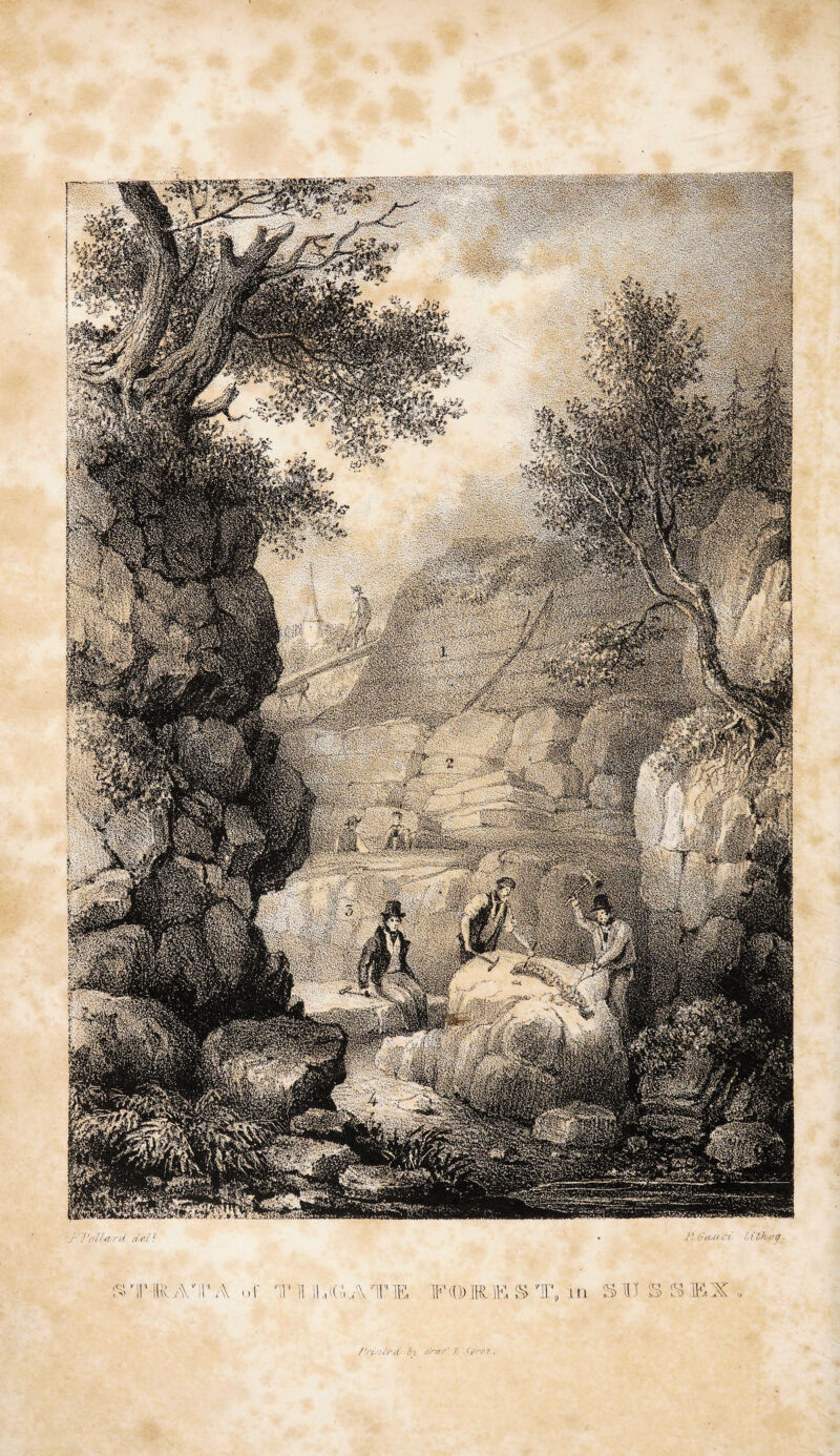 ,/■■ {in ^ . i th nq. 'll' ill^ v\ M' A .) r ' 11 ;1,ll': Ih' (0) lA A '111 111 'A H T 'A 'A IK X /■; ,. '• v;