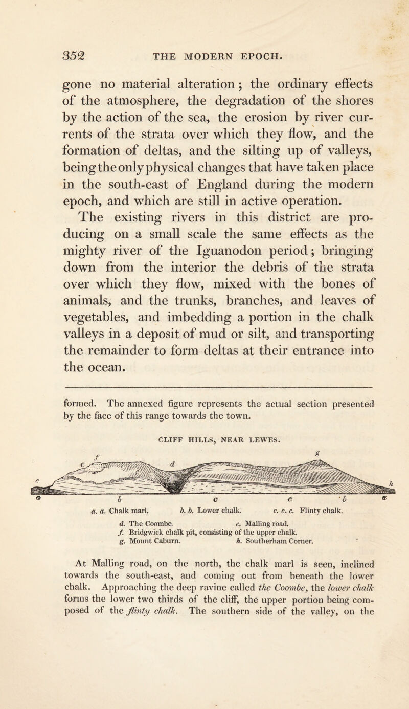 gone no material alteration; the ordinary effects of the atmosphere, the degradation of the shores by the action of the sea, the erosion by river cur¬ rents of the strata over which they flow, and the formation of deltas, and the silting up of valleys, being the only physical changes that have taken place in the south-east of England during the modern epoch, and which are still in active operation. The existing rivers in this district are pro¬ ducing on a small scale the same effects as the mighty river of the Iguanodon period; bringing down from the interior the debris of the strata over which they flow, mixed with the bones of animals, and the trunks, branches, and leaves of vegetables, and imbedding a portion in the chalk valleys in a deposit of mud or sdt, and transporting the remainder to form deltas at their entrance into the ocean. formed. The annexed figure represents the actual section presented by the face of this range towards the town. CLIFF HILLS, NEAR LEWES. d. The Coombe. e. Mailing road. /. Bridgwick chalk pit, consisting of the upper chalk. g. Mount Caburn. A. Southerham Corner. At Mailing road, on the north, the chalk marl is seen, inclined towards the south-east, and coming out from beneath the lower chalk. Approaching the deep ravine called t/ie Coombe^ the lowei’ chalk forms the lower two thirds of the cliff, the upper portion being com¬ posed of the flinty chalk. The southern side of the valley, on the