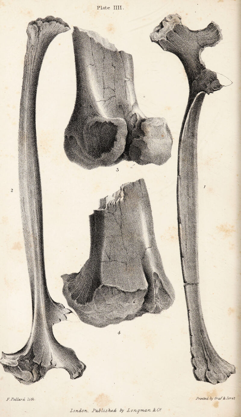 Plate 1111 F.FolCard/ Iv'Sv Fnnie'd/l’y Ijra/ScJoT^t ZondyOTv, FvZbli6~hA>d/ by longwajn.&.C°